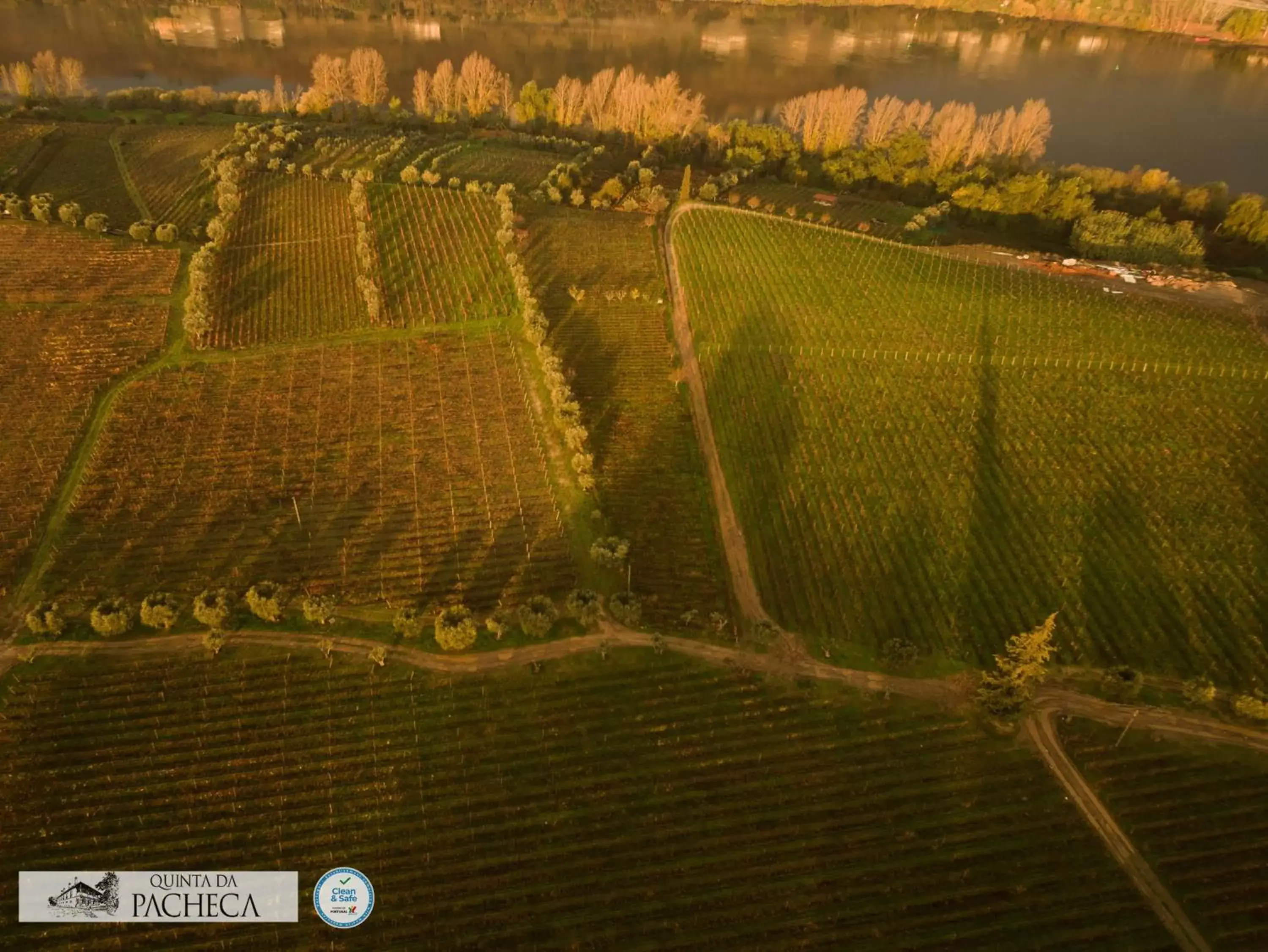 Bird's-eye View in The Wine House Hotel - Quinta da Pacheca