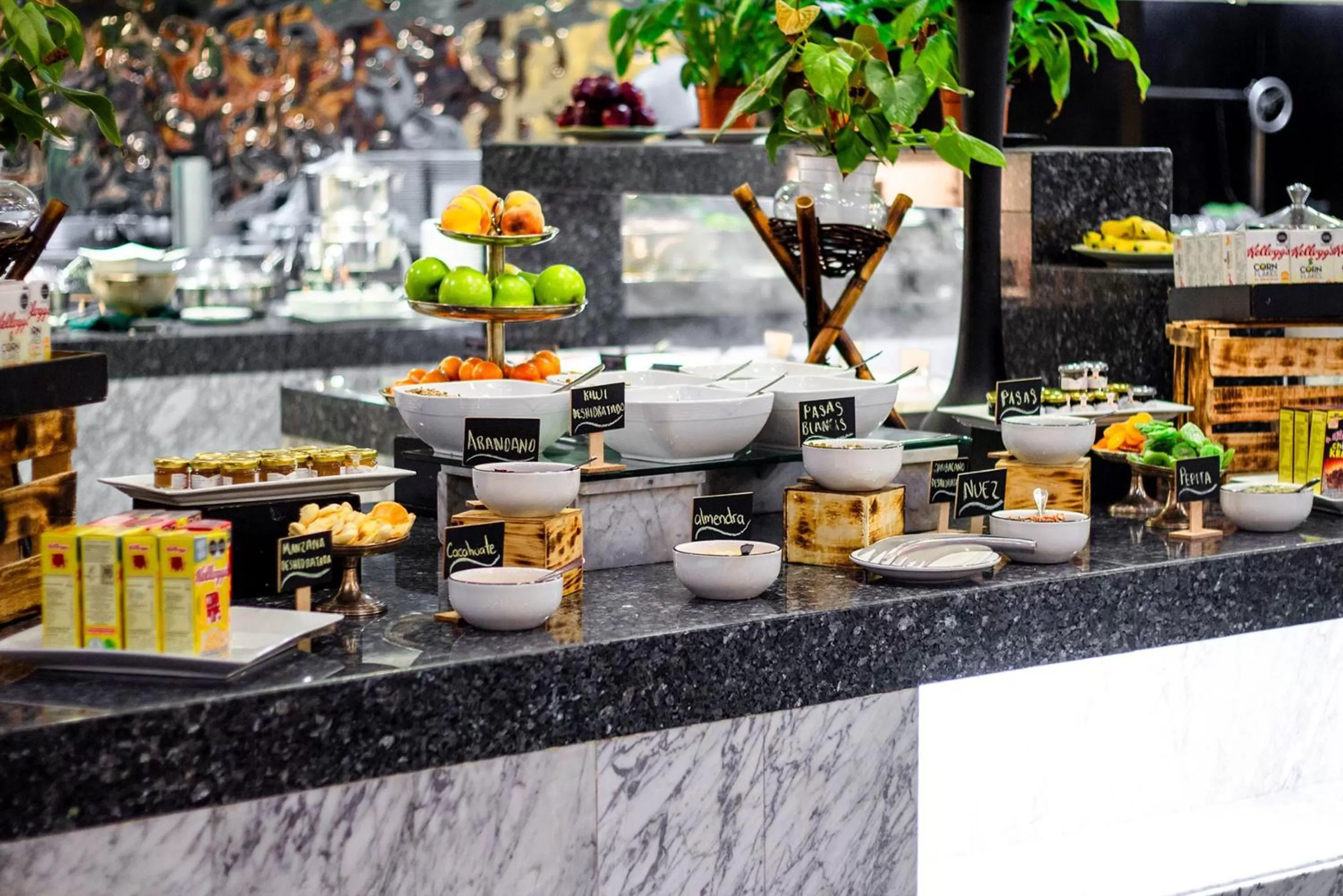 Restaurant/places to eat in Camino Real Polanco Mexico