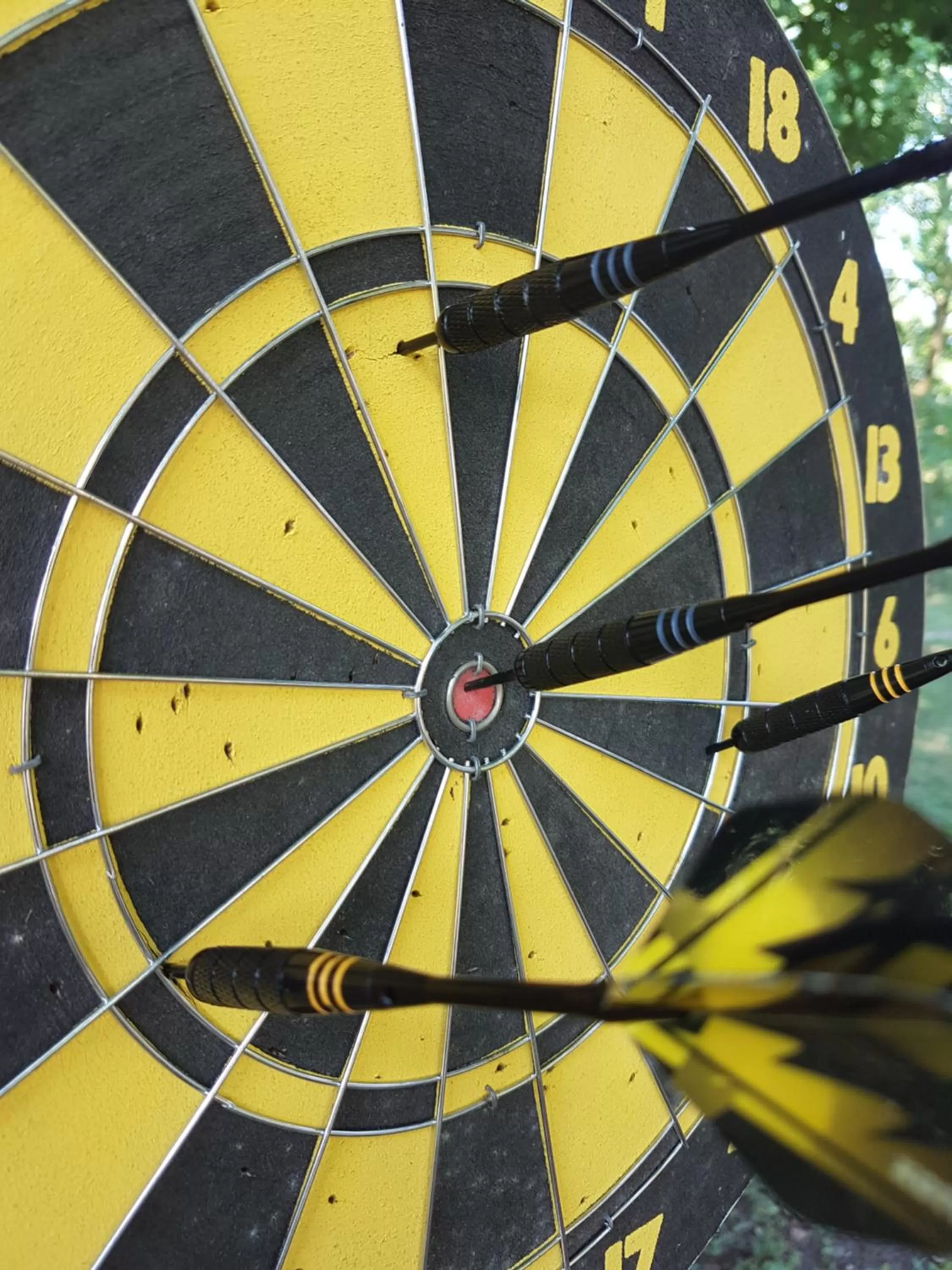 Darts in Domaine de Sahil