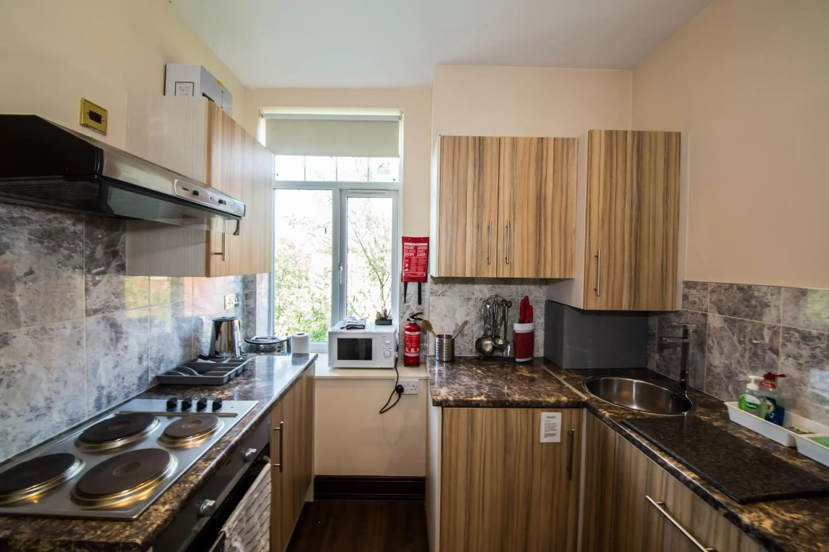 Kitchen or kitchenette, Kitchen/Kitchenette in William's Hillsborough Apartments