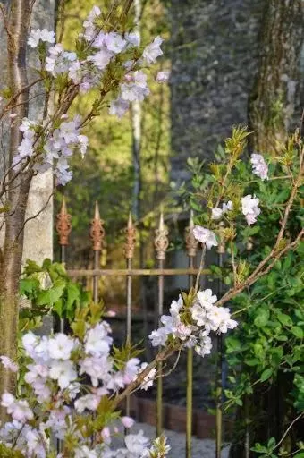 Area and facilities in B&B Les Tilleuls