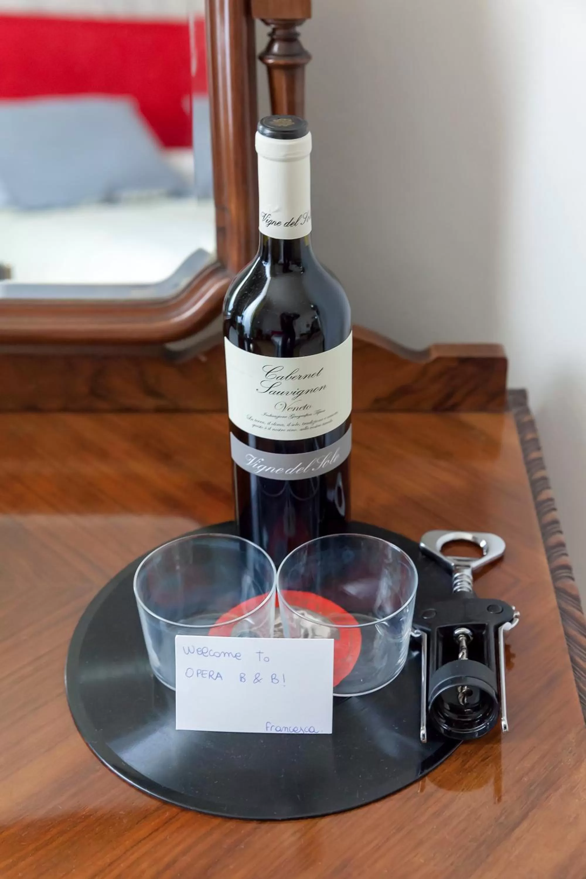 Area and facilities in Opera Boutique B&B