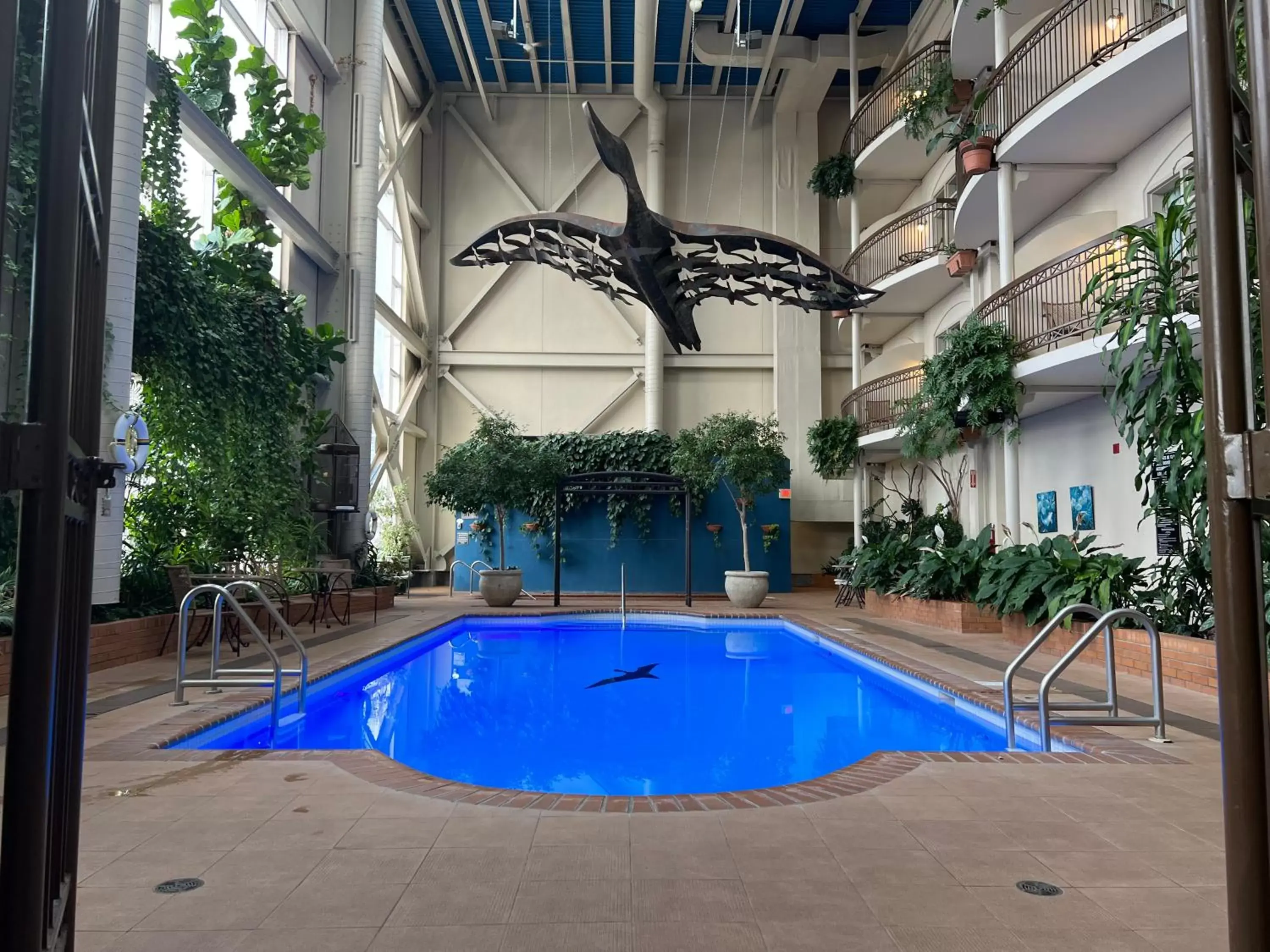 Day, Swimming Pool in Hotel L'Oie des neiges