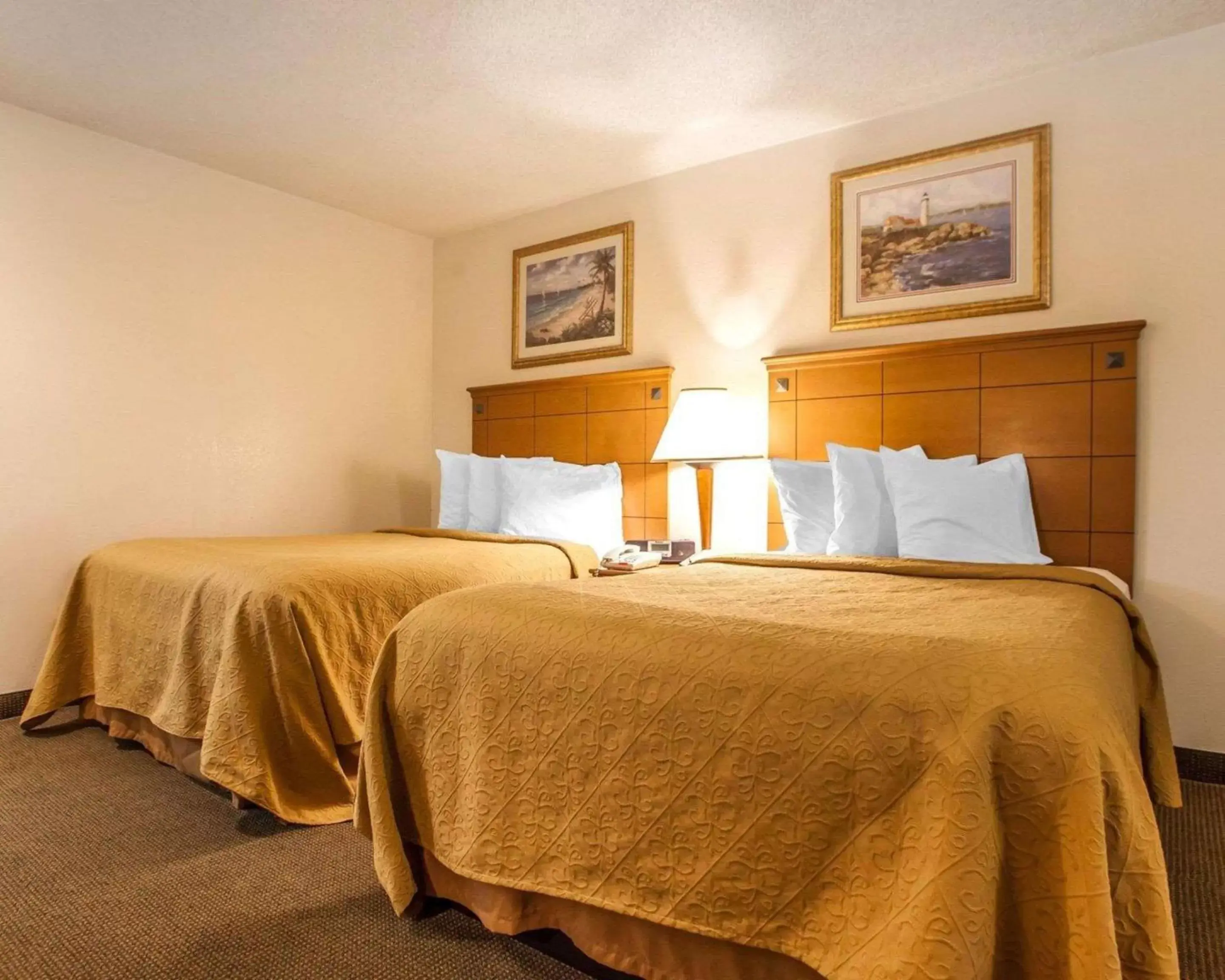 Photo of the whole room, Bed in Rodeway Inn Point Pleasant Beach Photo of the whole room, Bed in Rodeway Inn Point Pleasant Beach