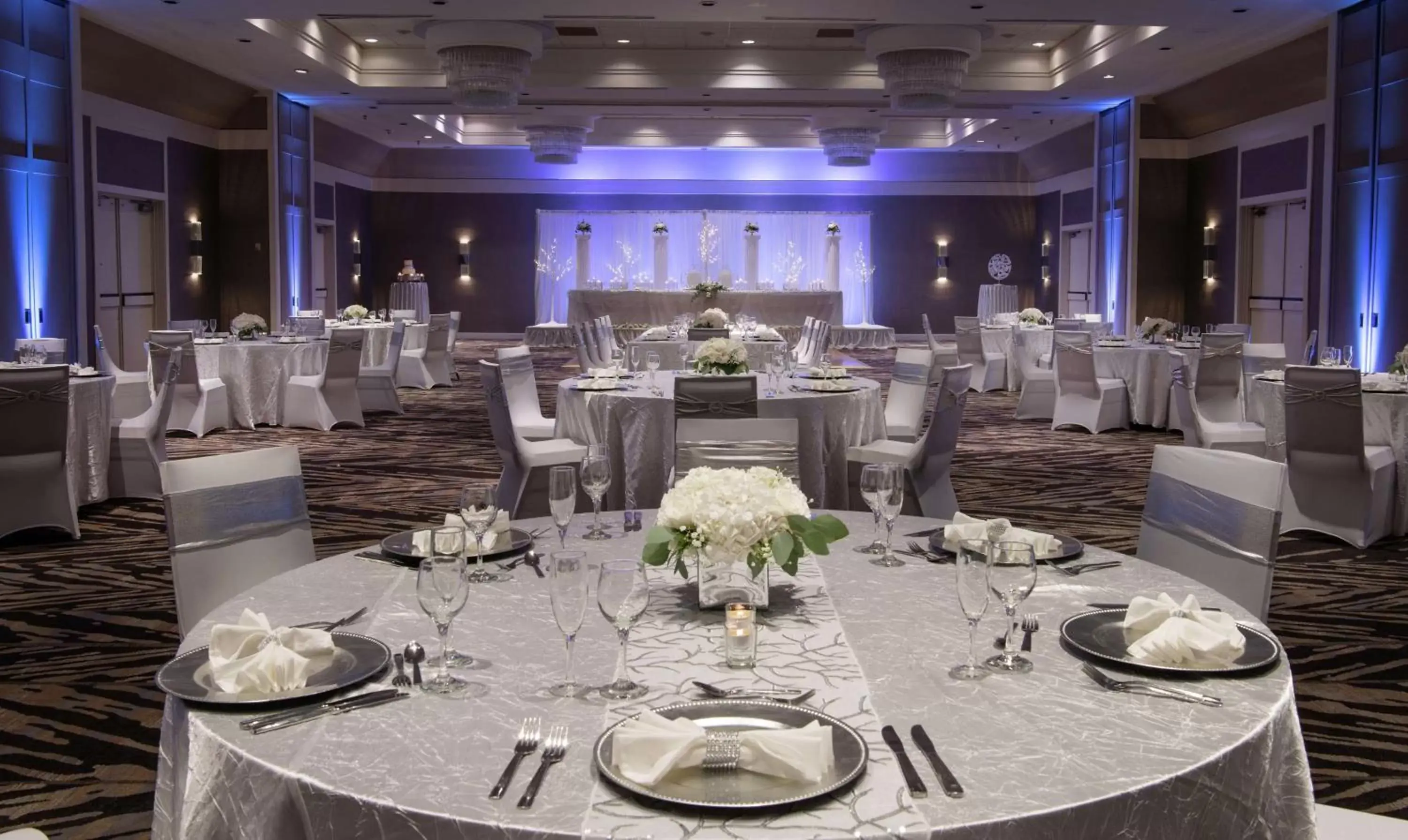 Meeting/conference room, Banquet Facilities in Hilton Tampa Airport Westshore