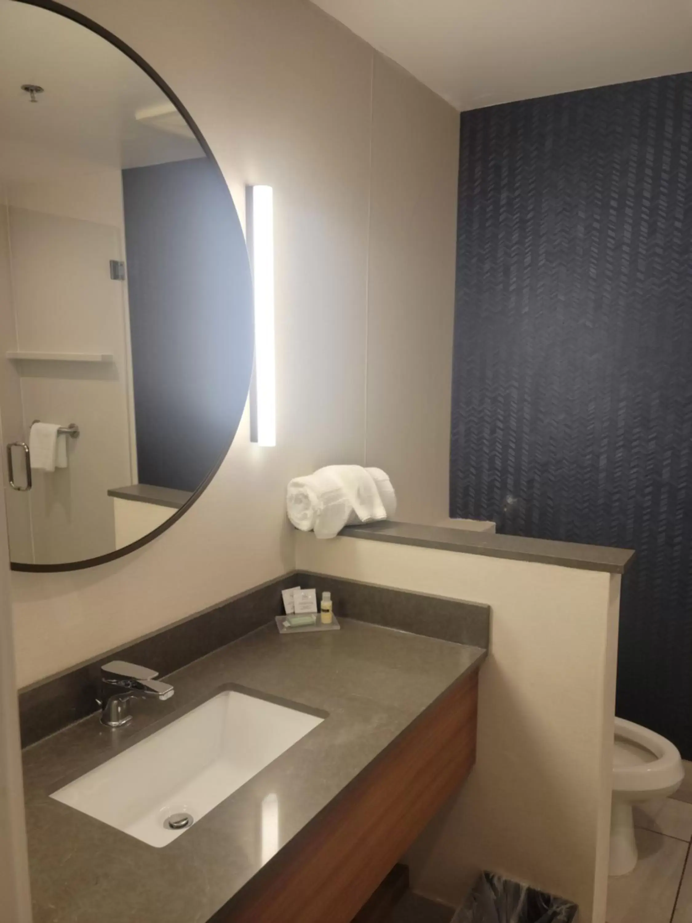 Bathroom in Fairfield Inn & Suites by Marriott Athens