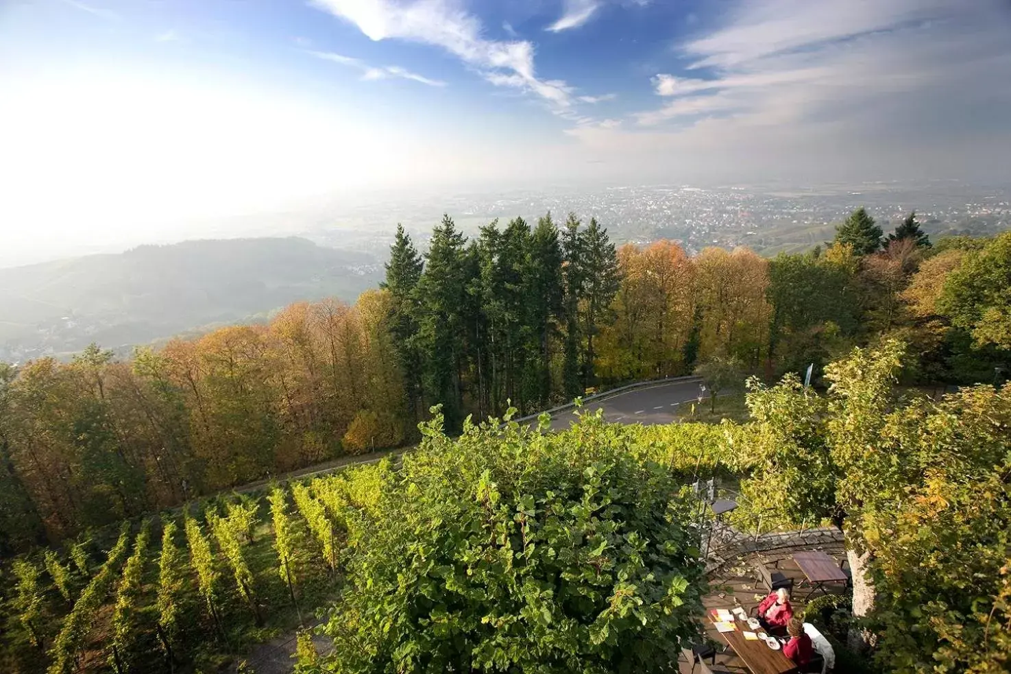 Natural landscape in Burg Windeck ***S