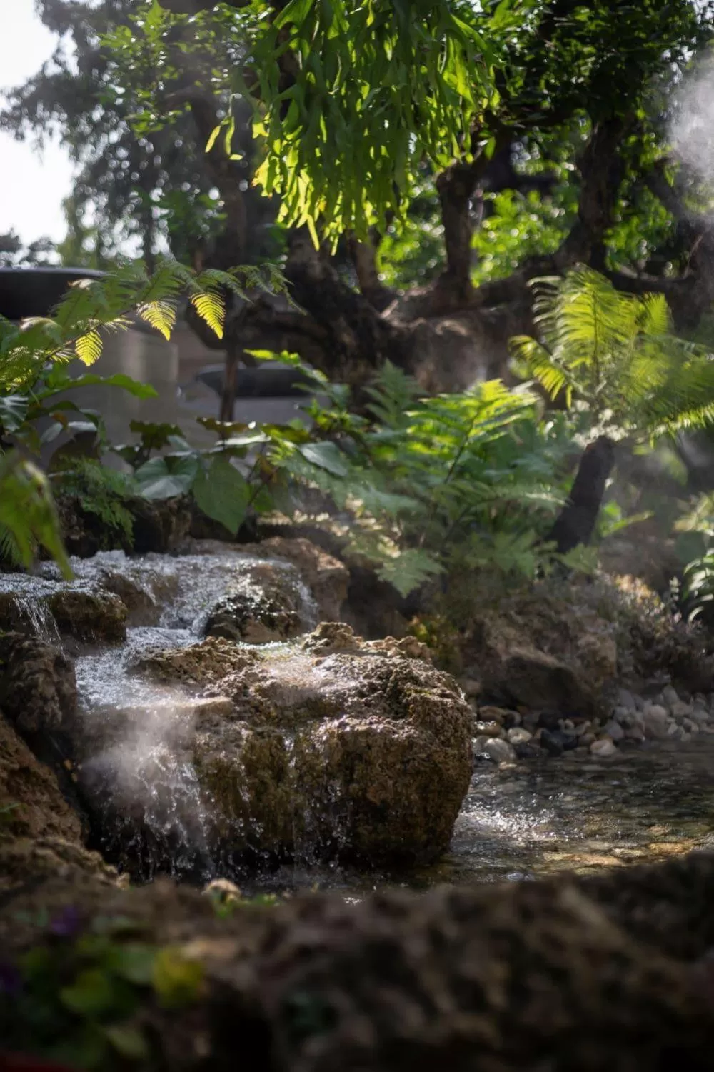Garden in Ana Park Residence