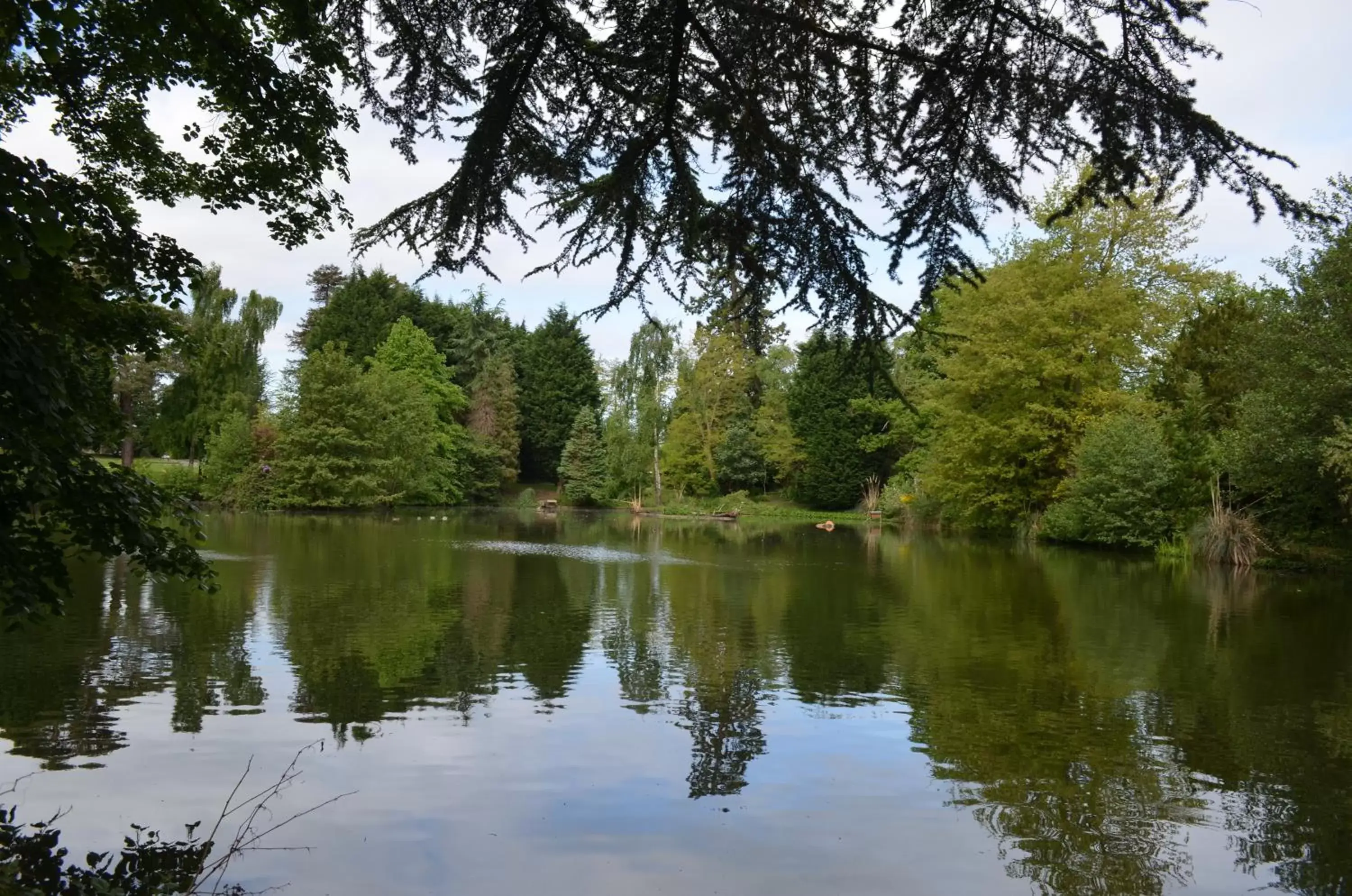 Natural landscape in Worplesdon Place Hotel