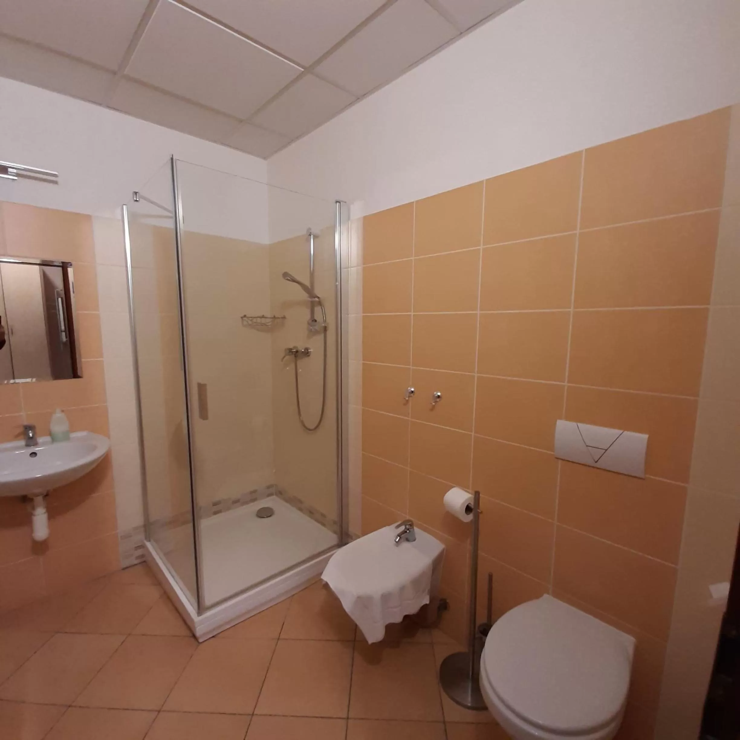 Shower in garni Hotel S.O.G.* * *