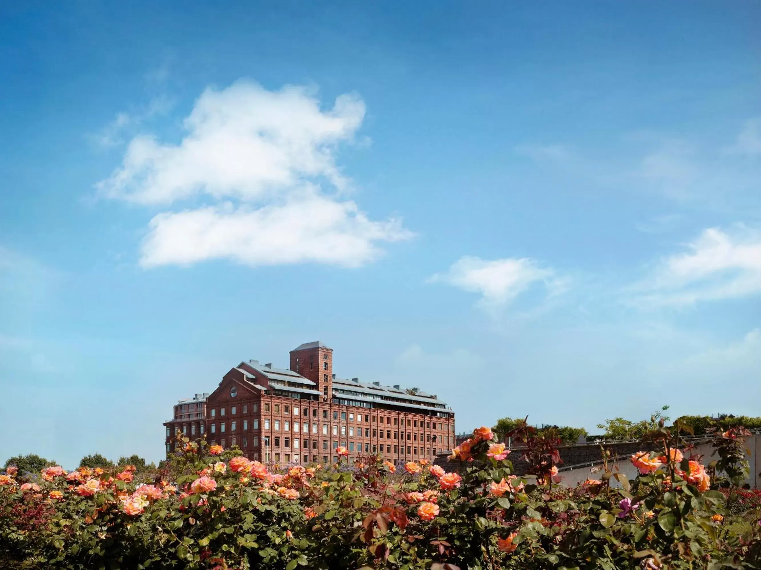 Property building in Faena Hotel Buenos Aires Property building in Faena Hotel Buenos Aires