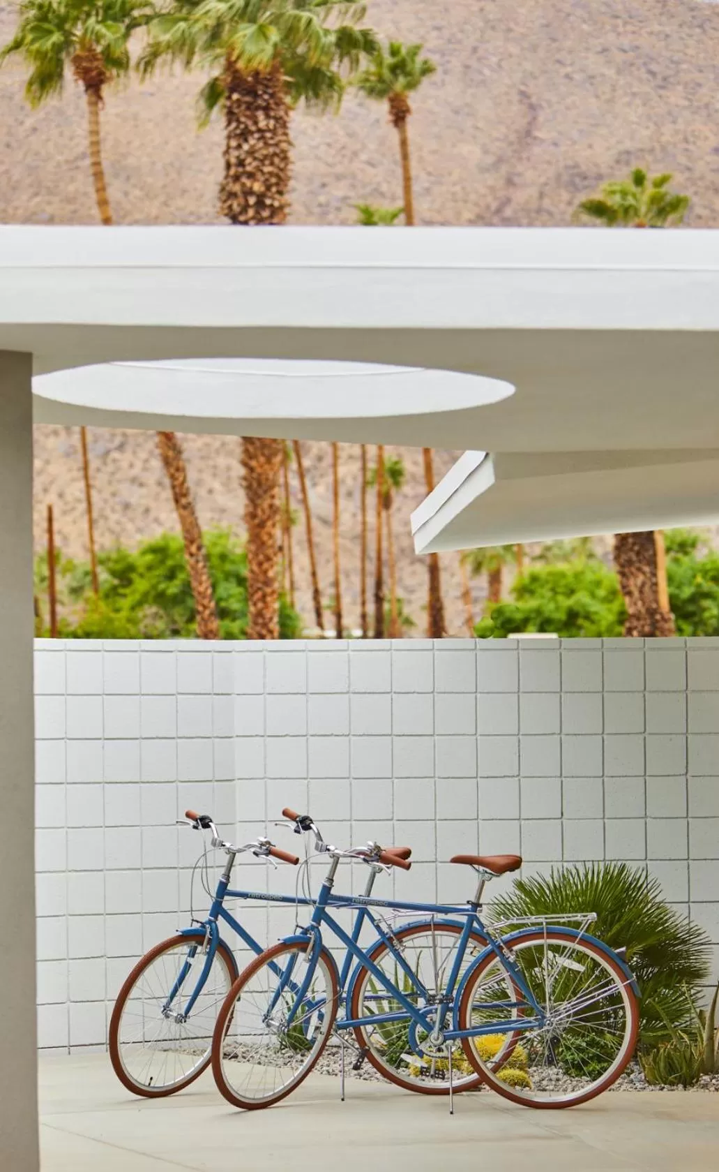 Cycling in Twin Palms Resort - A Gay Men's Resort