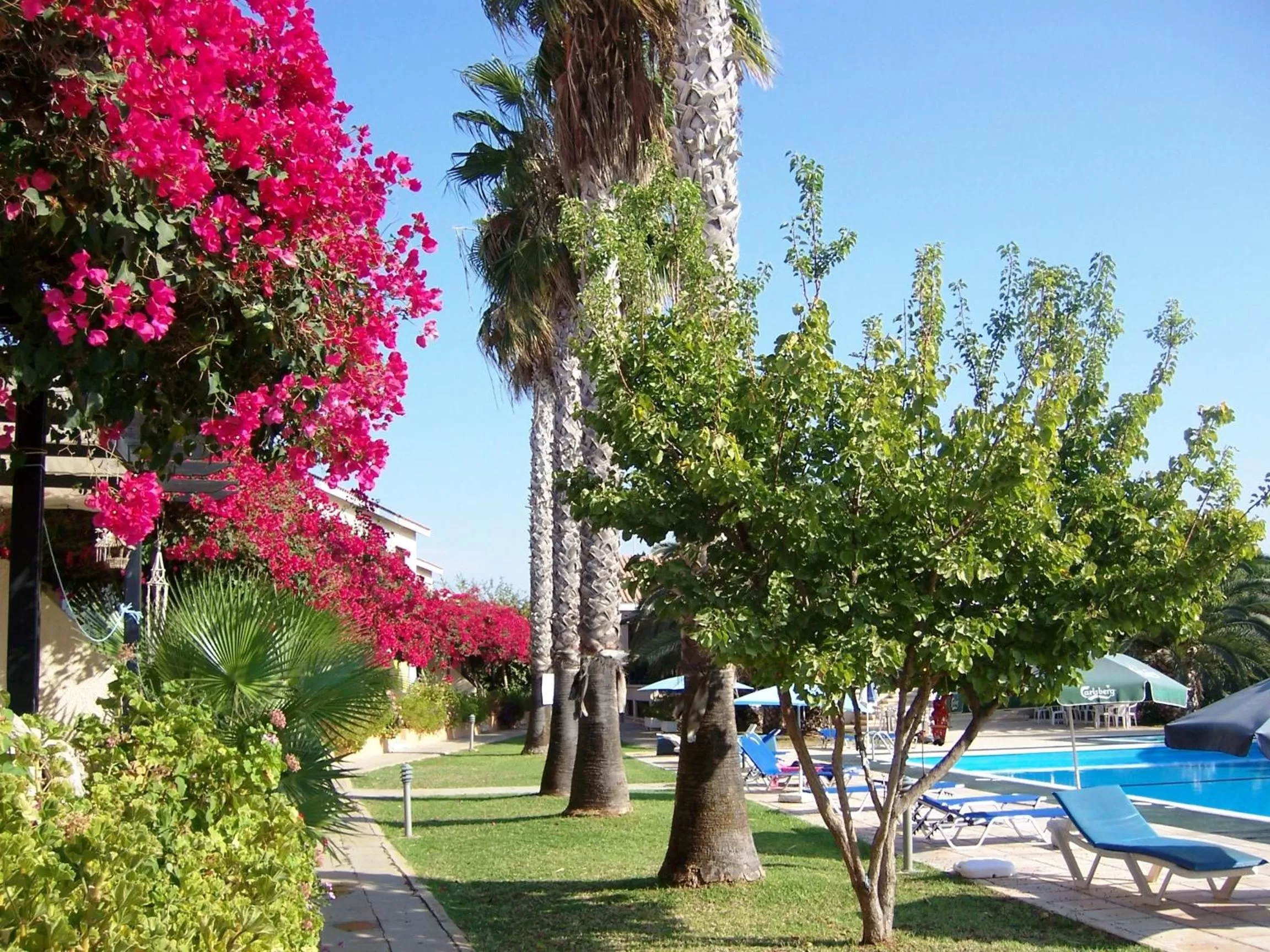 Swimming pool in Mon Repos Hotel