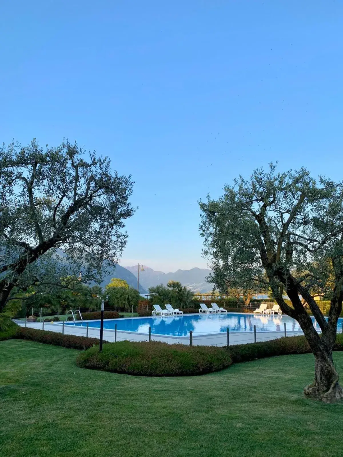 Swimming Pool in Hotel Ulivi