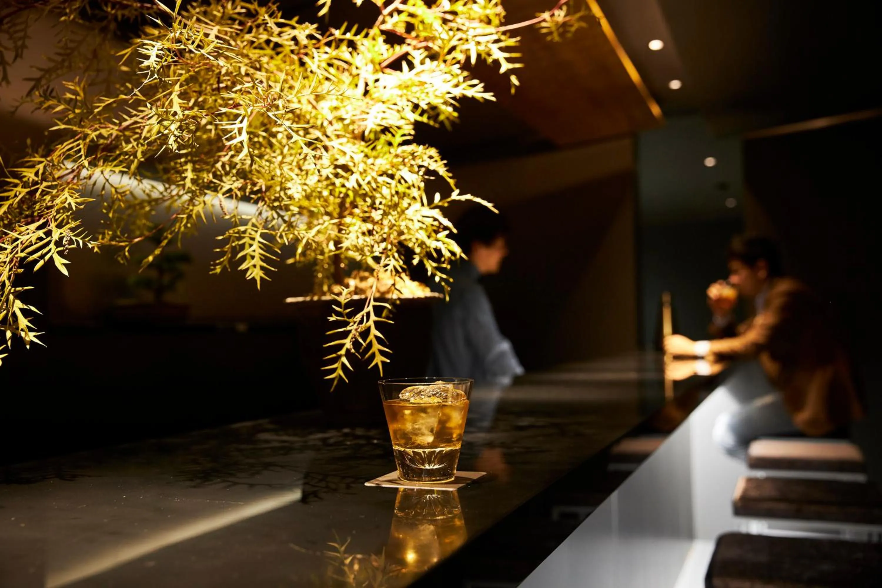 Lounge or bar in MOGANA