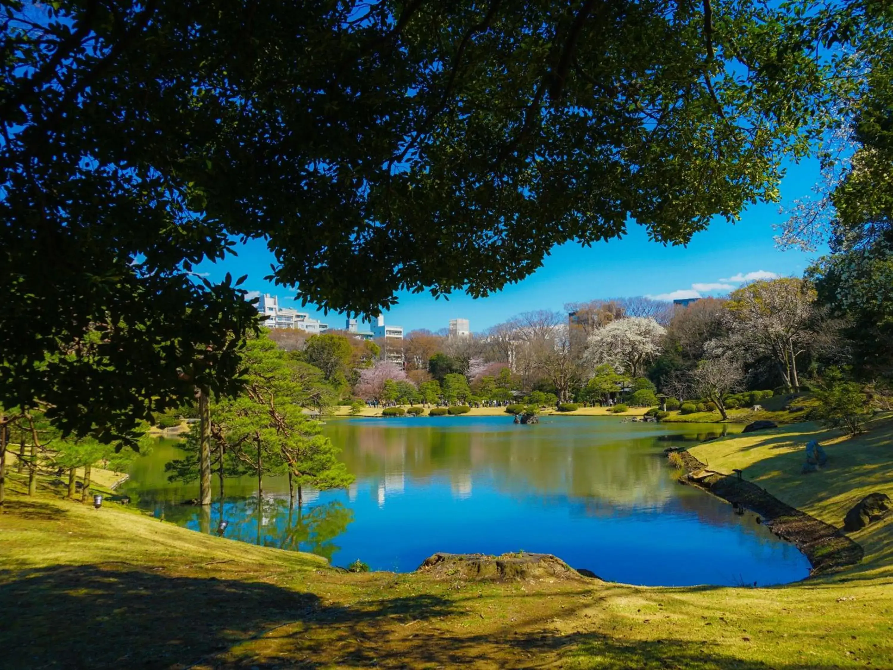 Nearby landmark in APA Hotel Komagome Ekimae