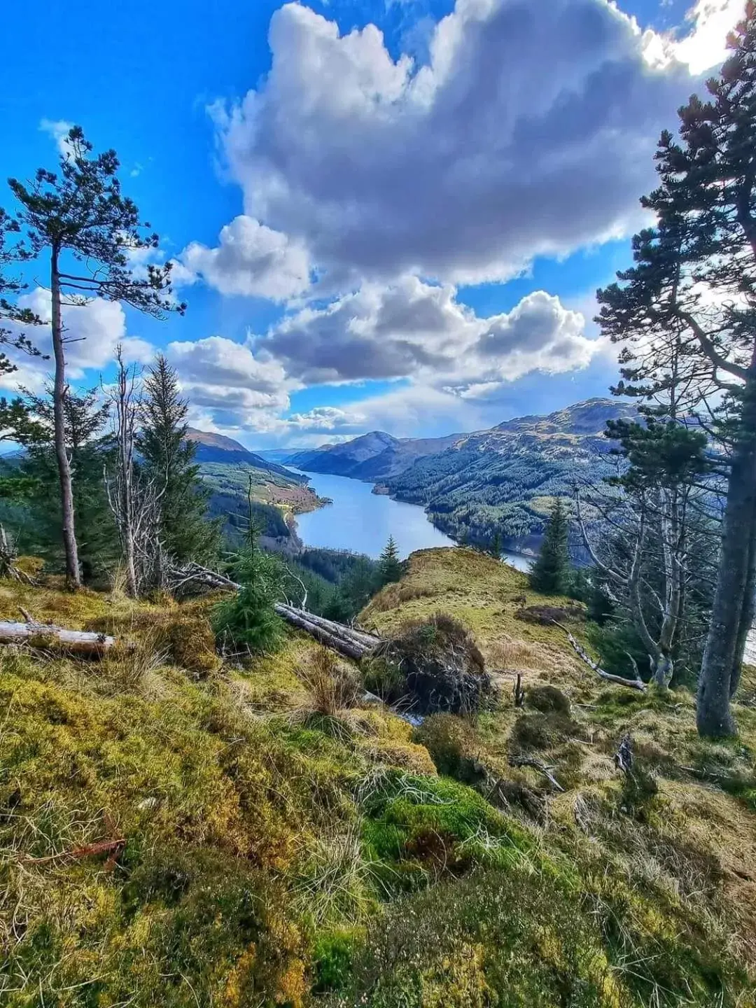 Natural Landscape in The Coylet Inn by Loch Eck