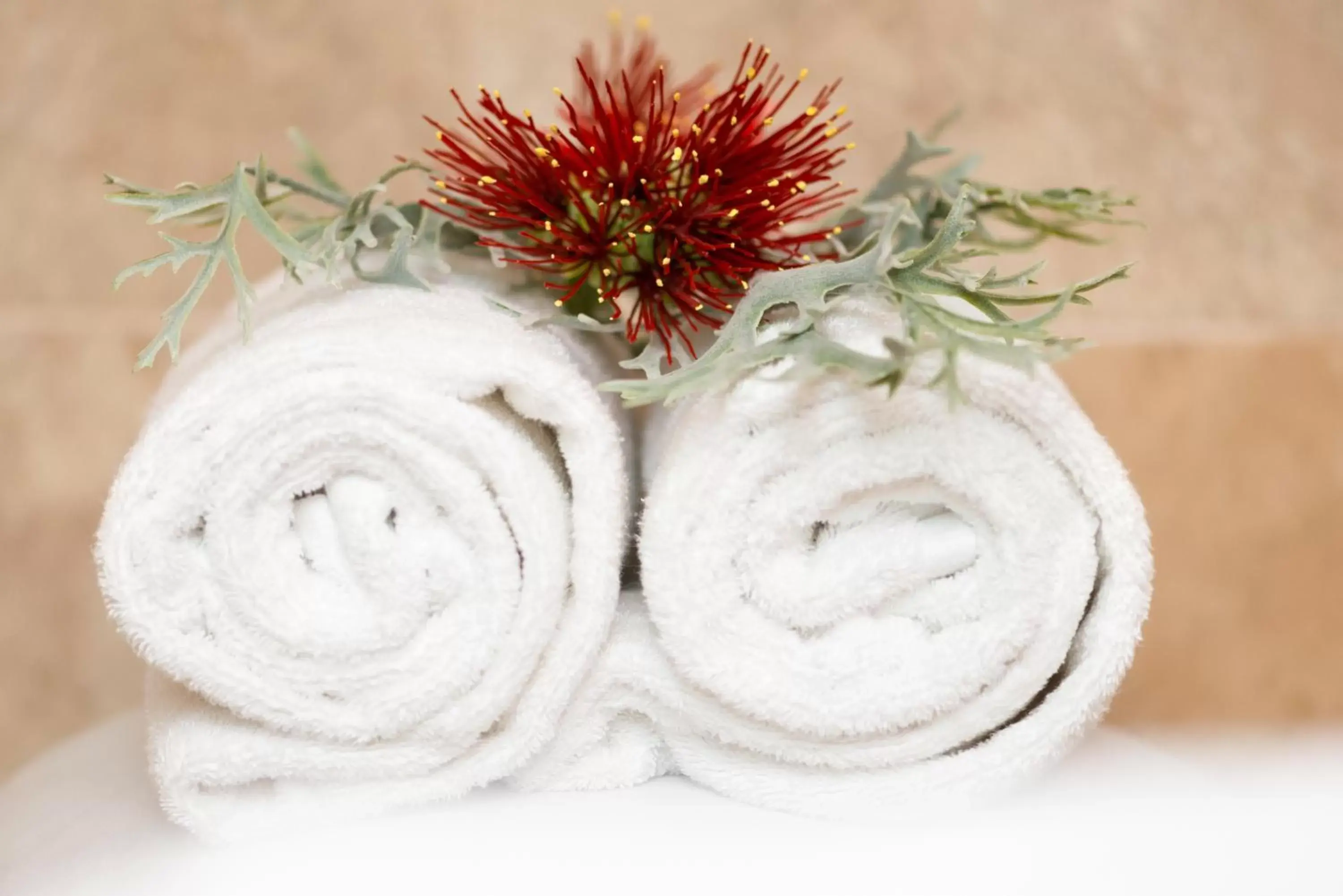 Spa and wellness centre/facilities, Food in Paihia Beach Resort & Spa Hotel