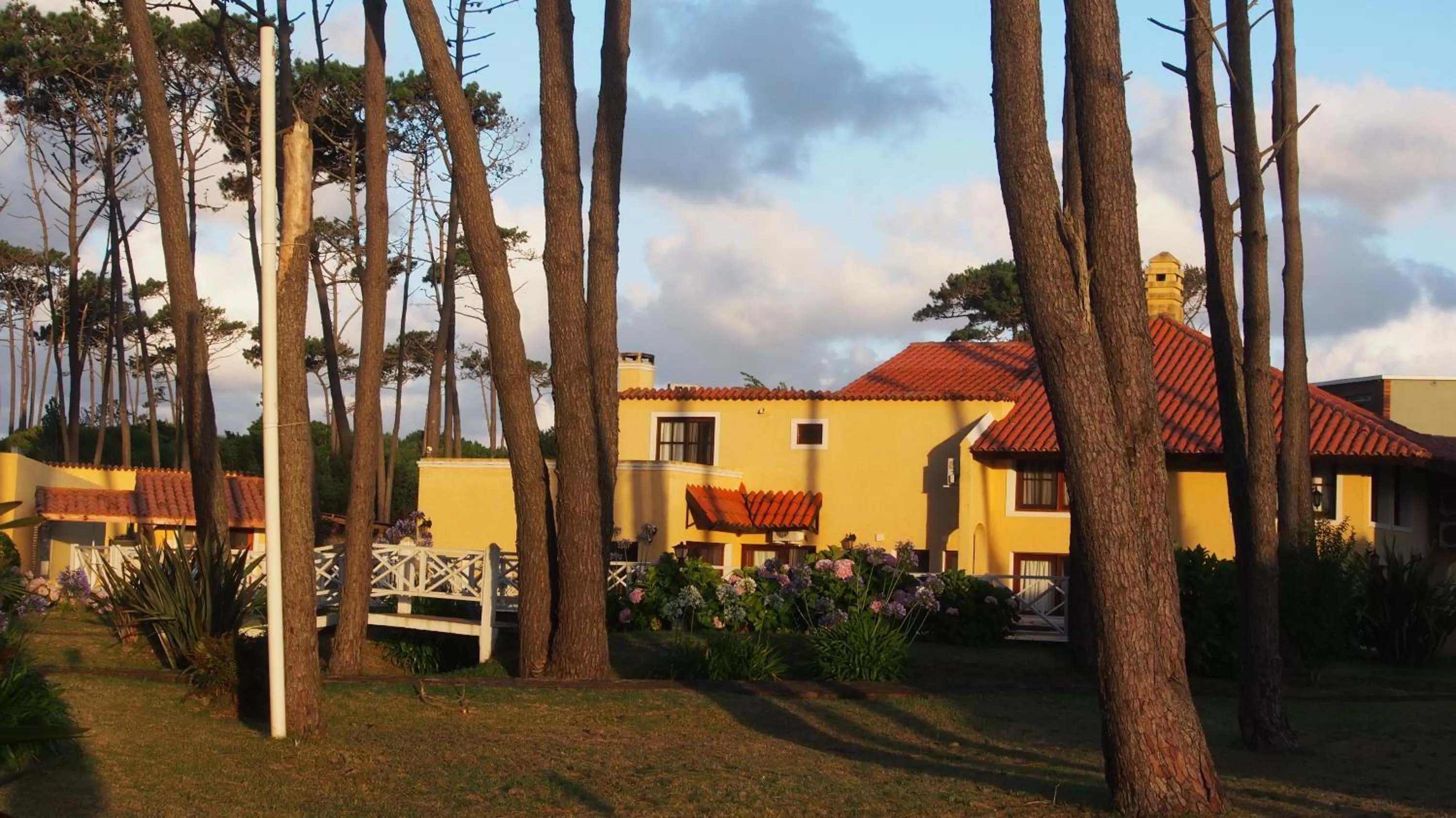 Property Building in Pino Dorado