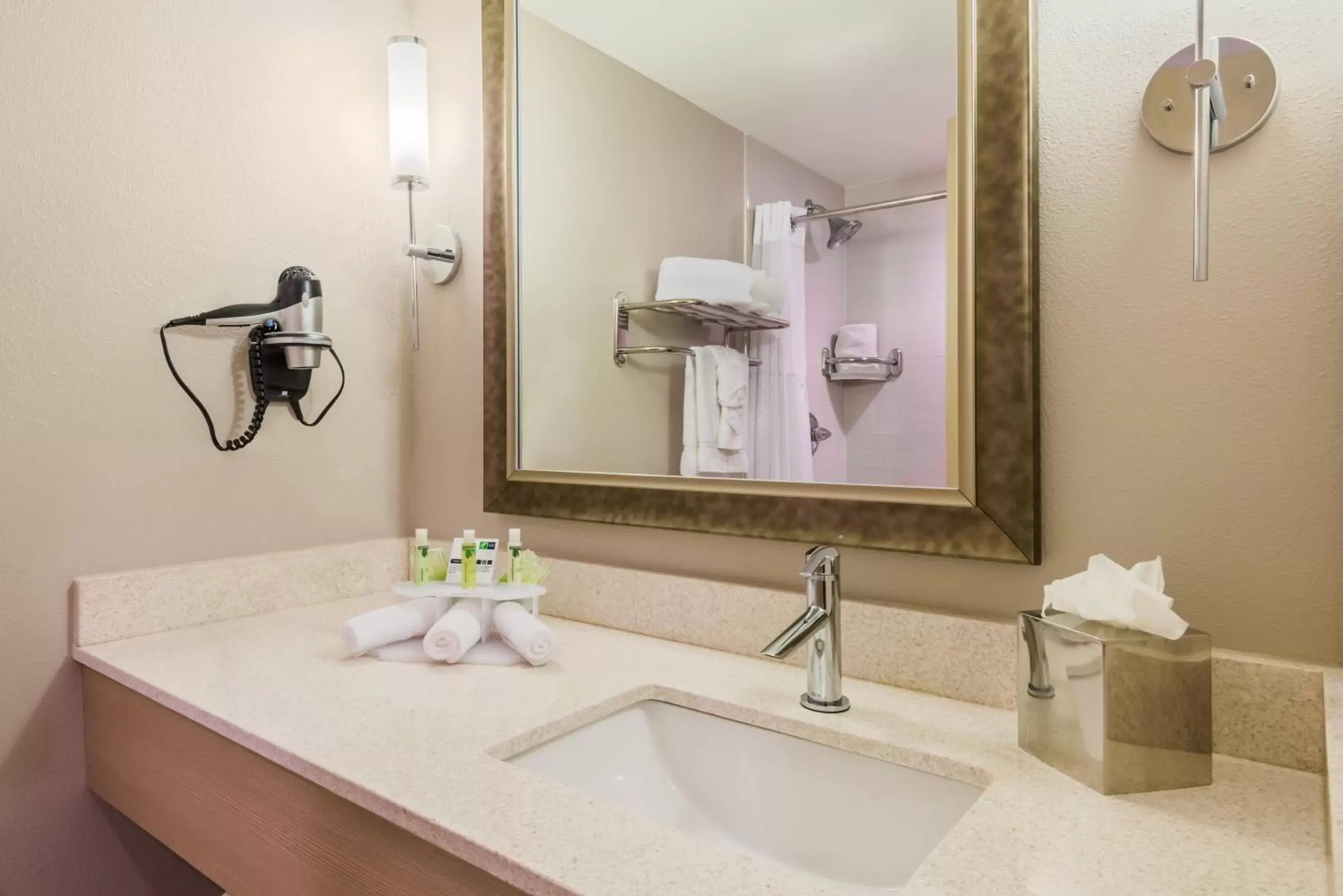 Bathroom in Holiday Inn Express Fairhope - Point Clear, an IHG Hotel