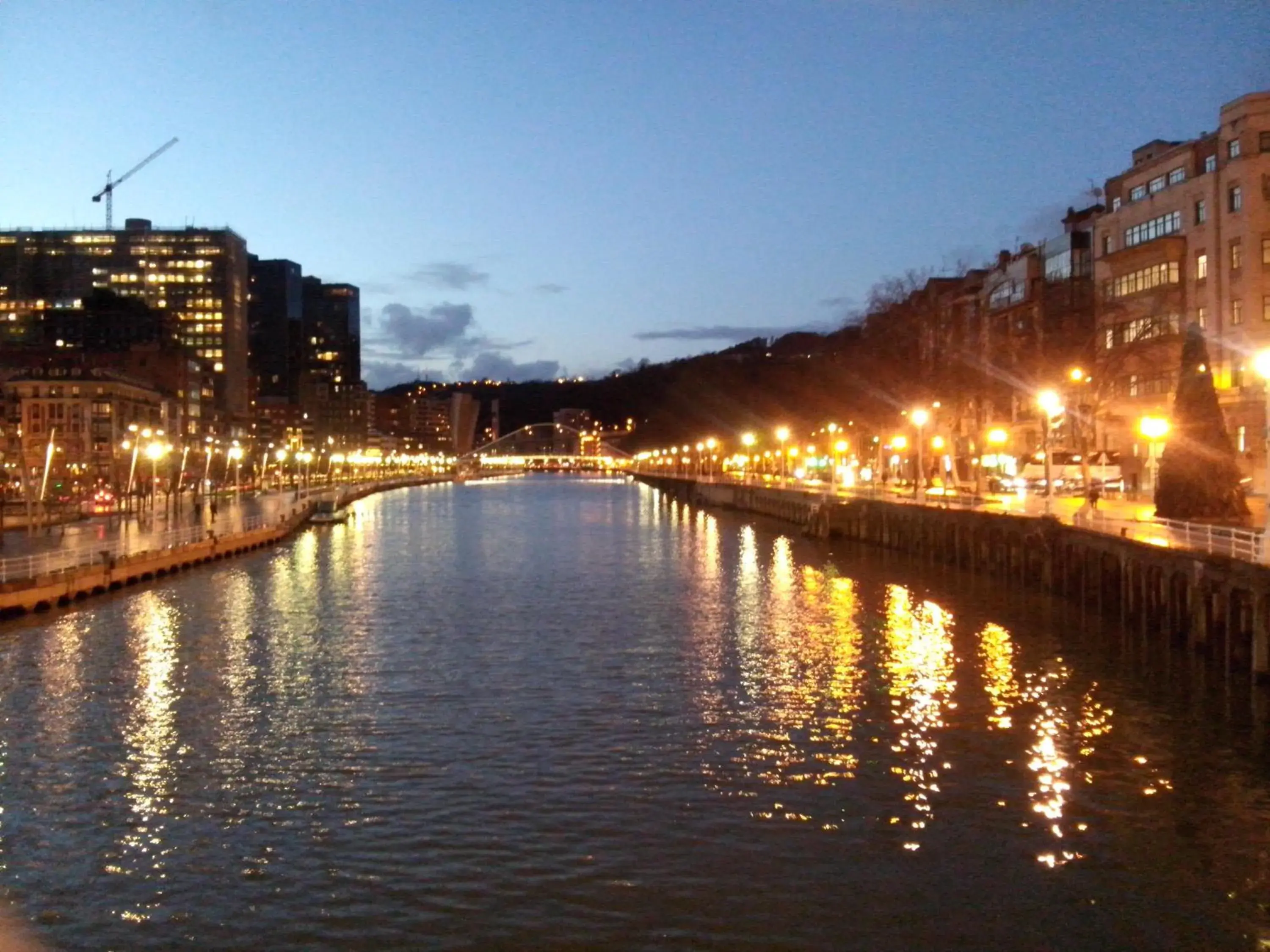 Natural landscape in Hotel Bilbao Plaza