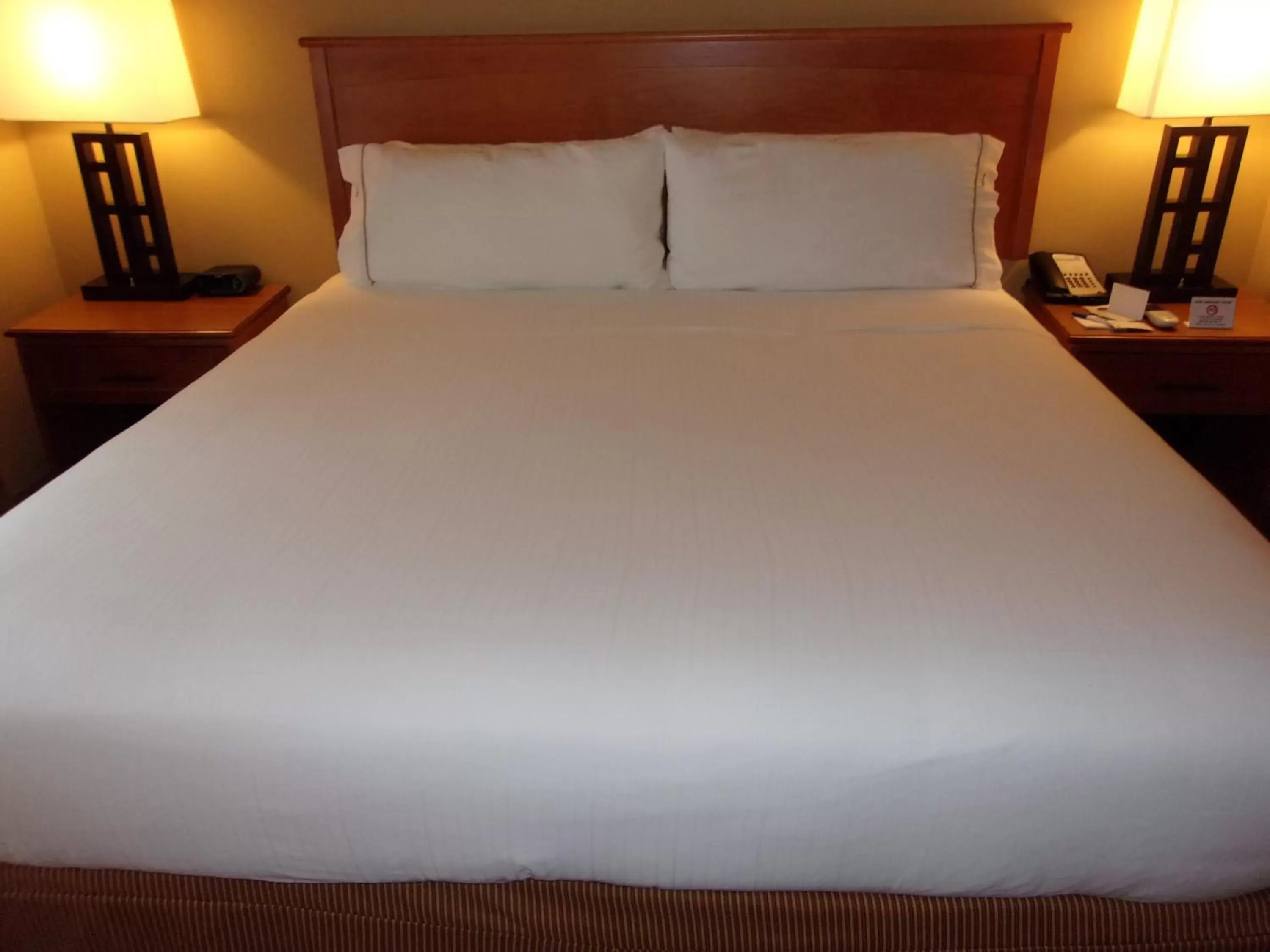 Photo of the whole room, Bed in Holiday Inn Express Hotel & Suites Chicago West Roselle, an IHG Hotel