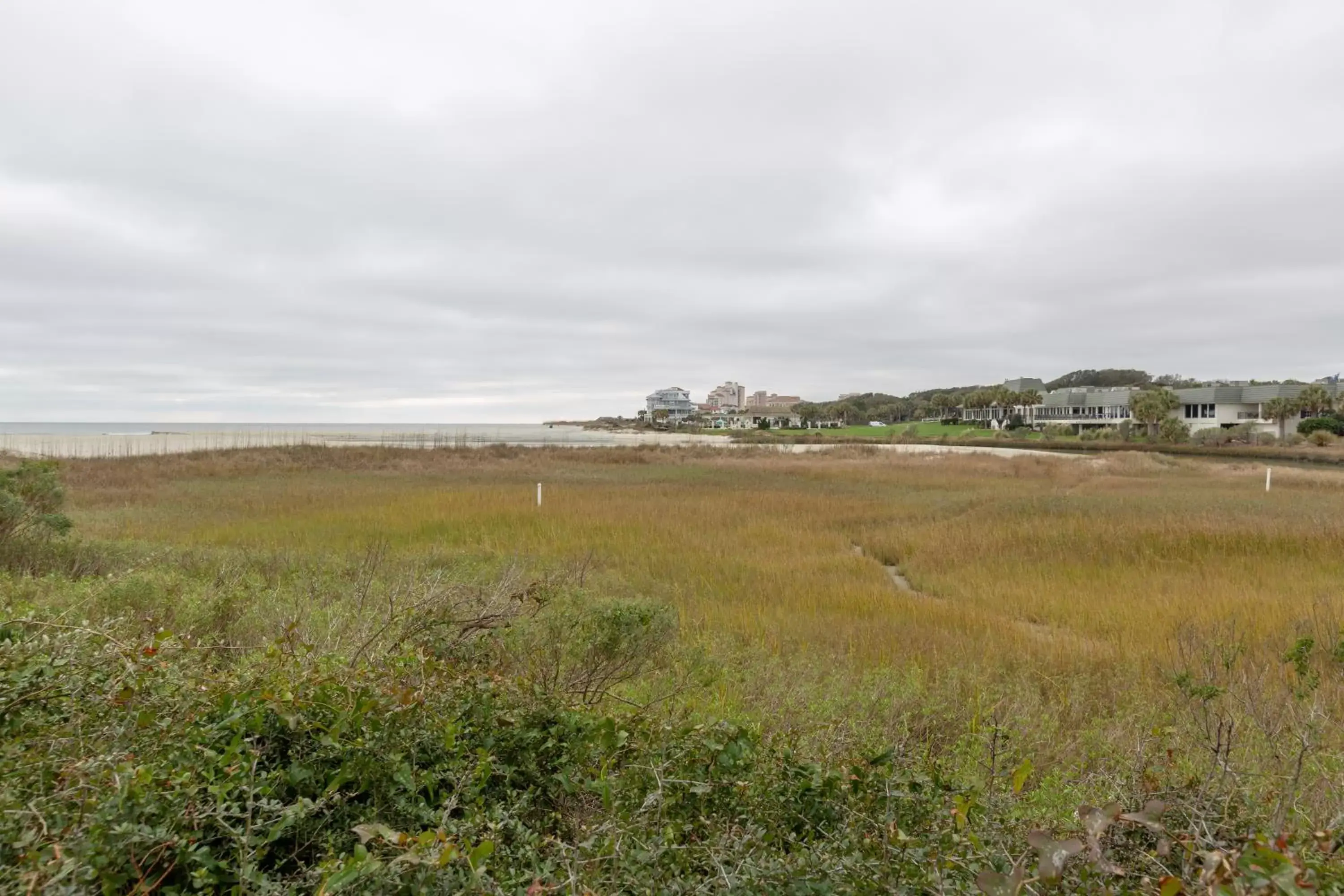 Natural landscape in Sands Beach Club by Capital Vacations