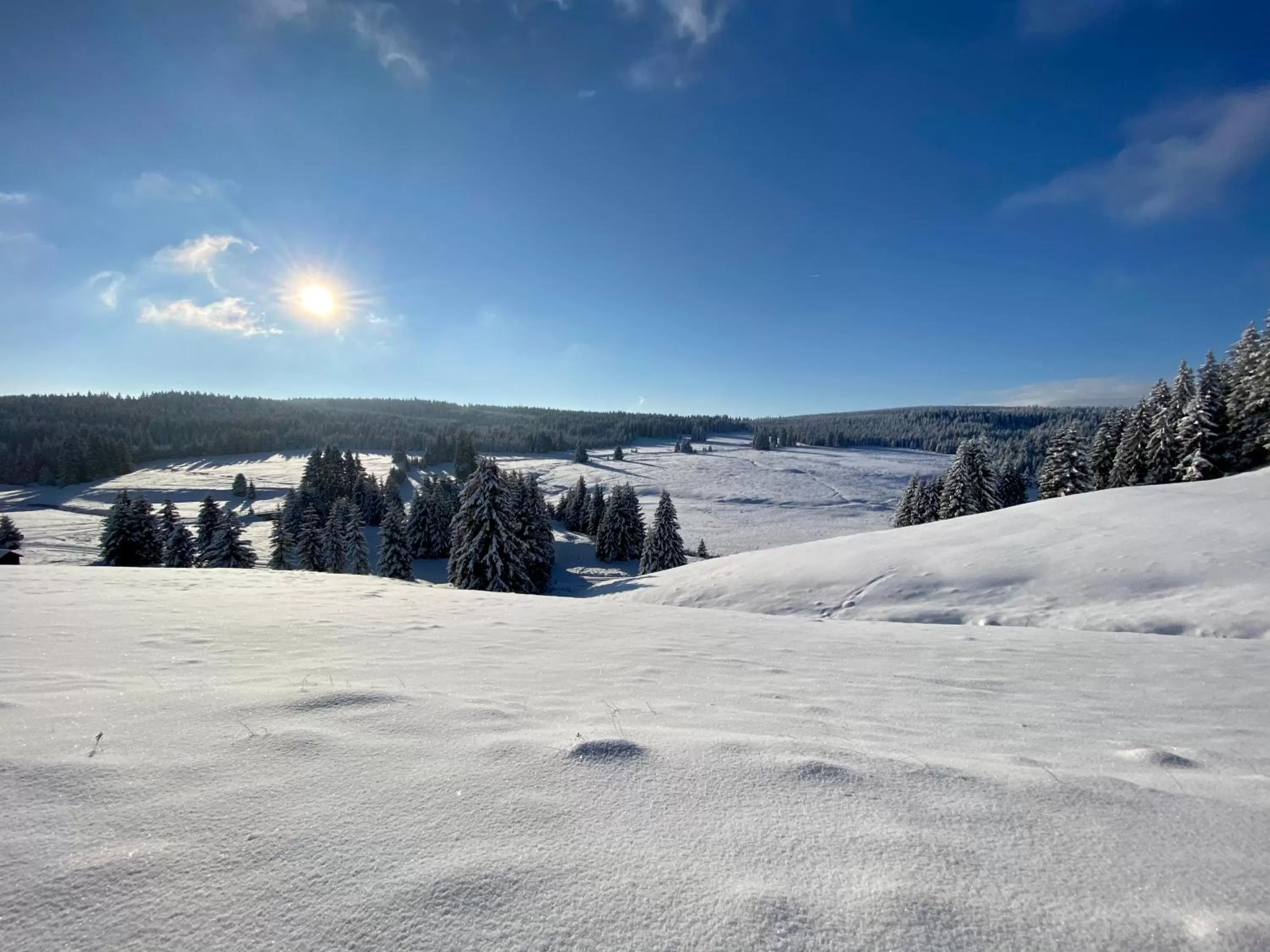 Natural landscape in Vila Jáchymov