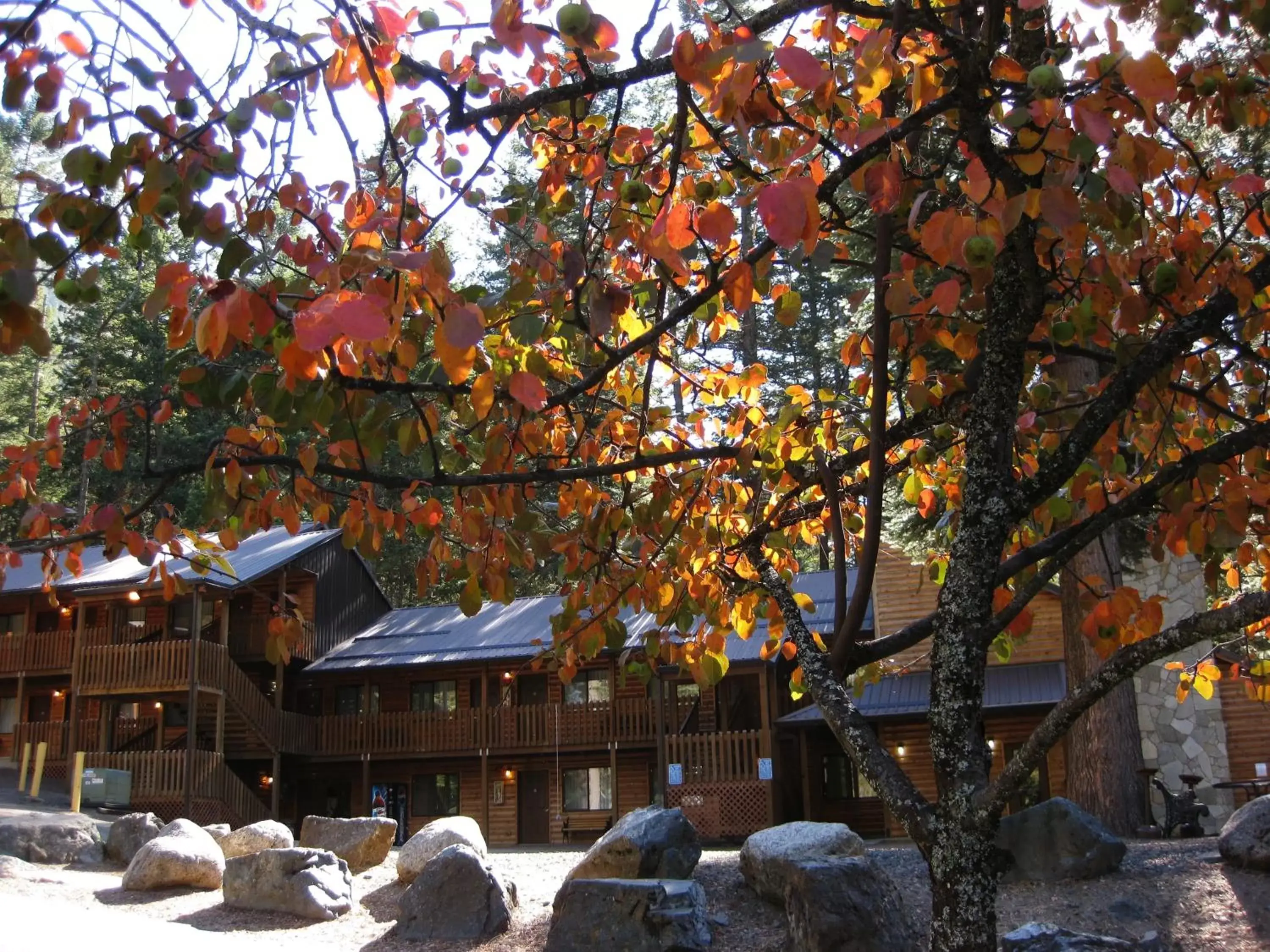 Property Building in Eagle Cap Chalets