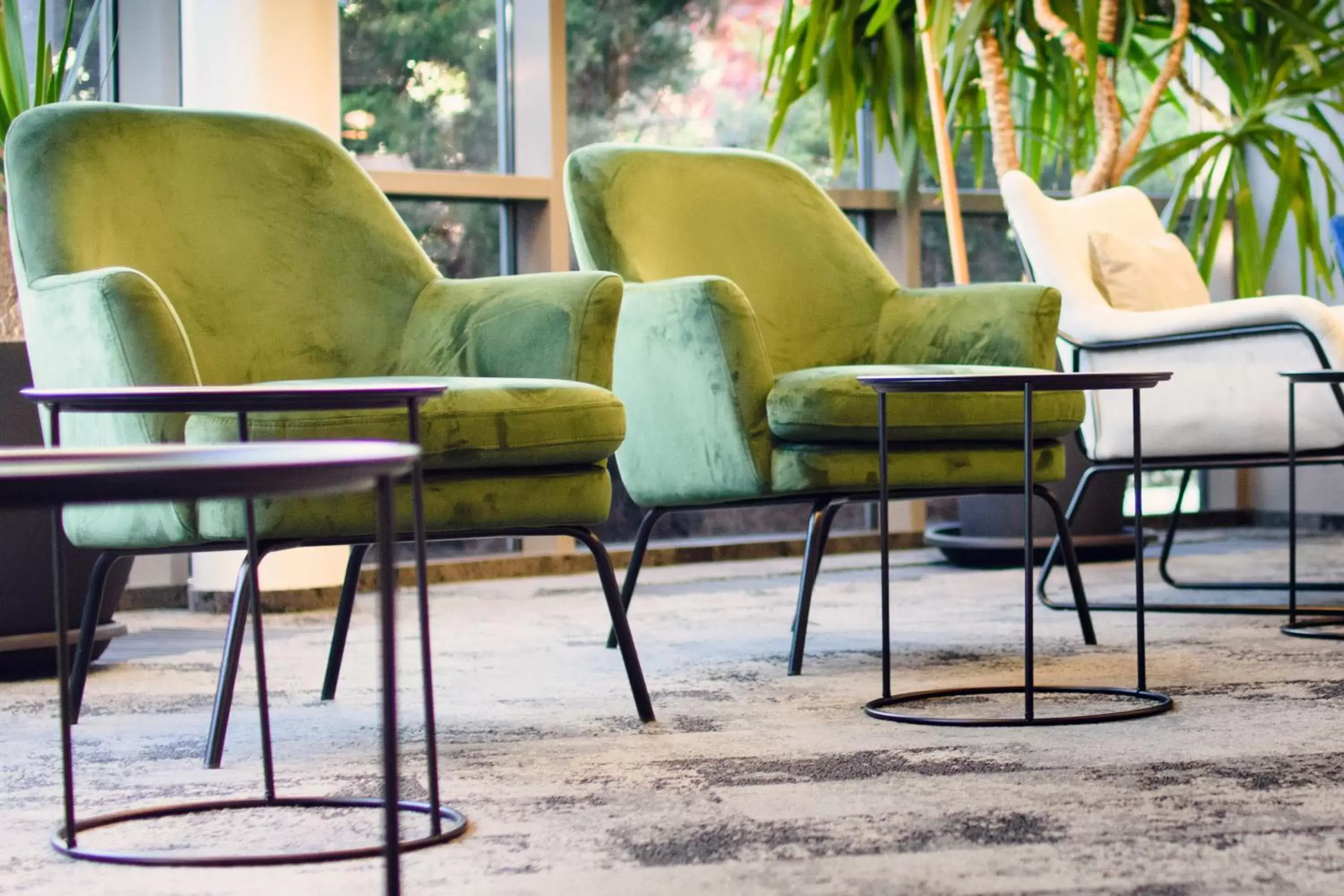 Lobby or reception in Ruben Hotel Zielona Góra Lobby or reception in Ruben Hotel Zielona Góra