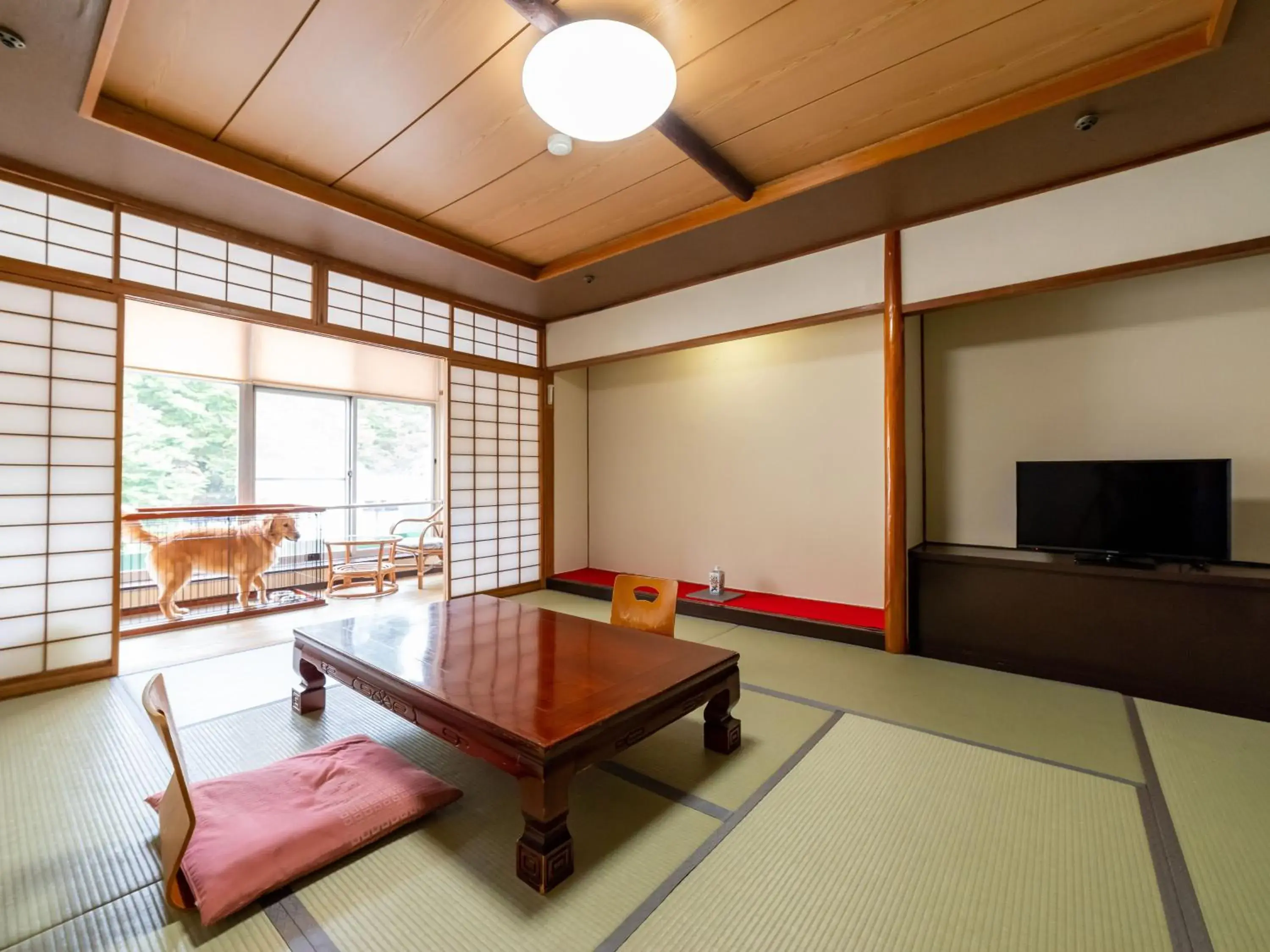 Photo of the whole room in Kusatsu Onsen Daitokan