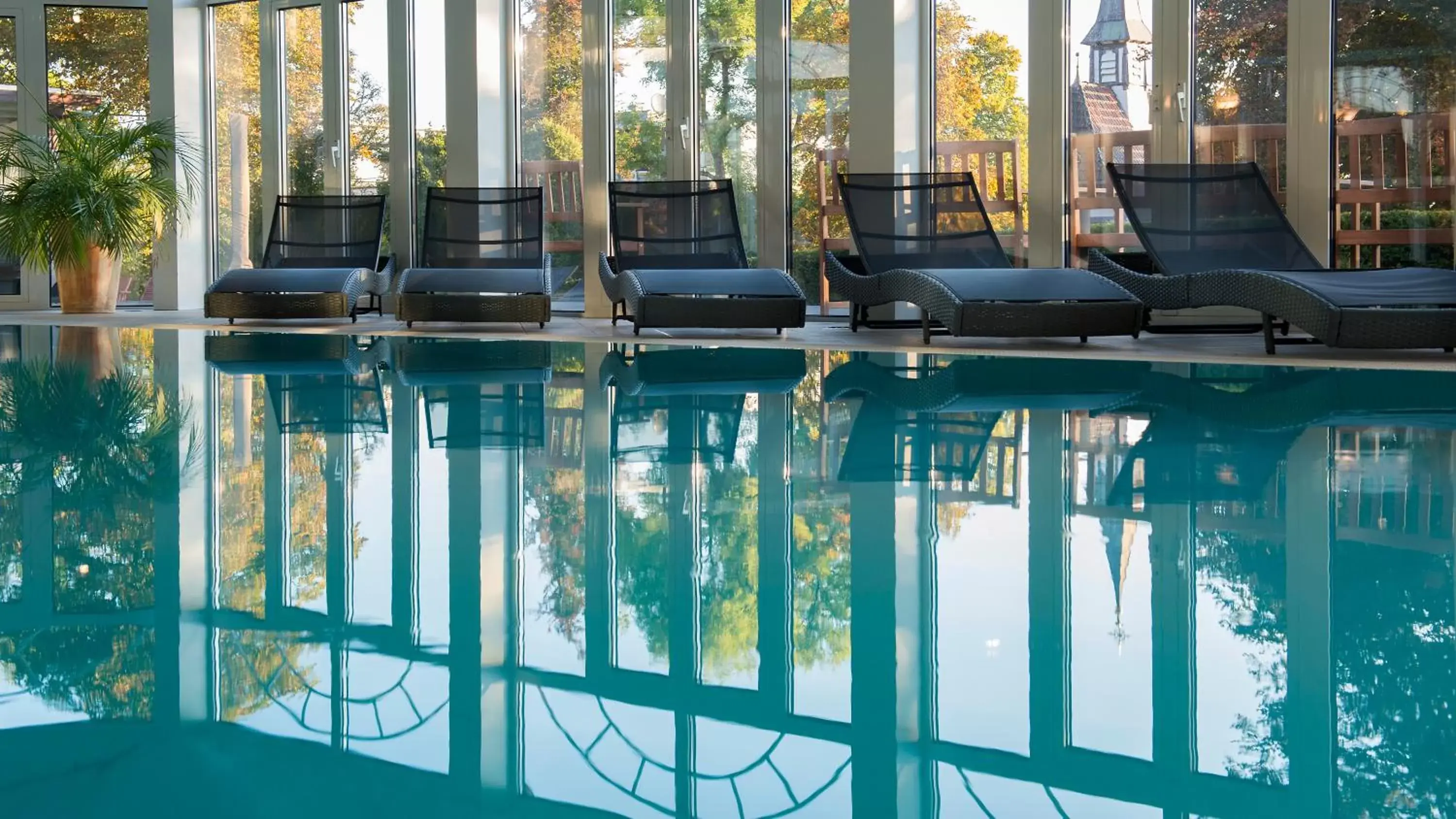 Swimming pool in Das Palmenwald Schwarzwaldhof, BW Signature Collection Swimming pool in Das Palmenwald Schwarzwaldhof, BW Signature Collection