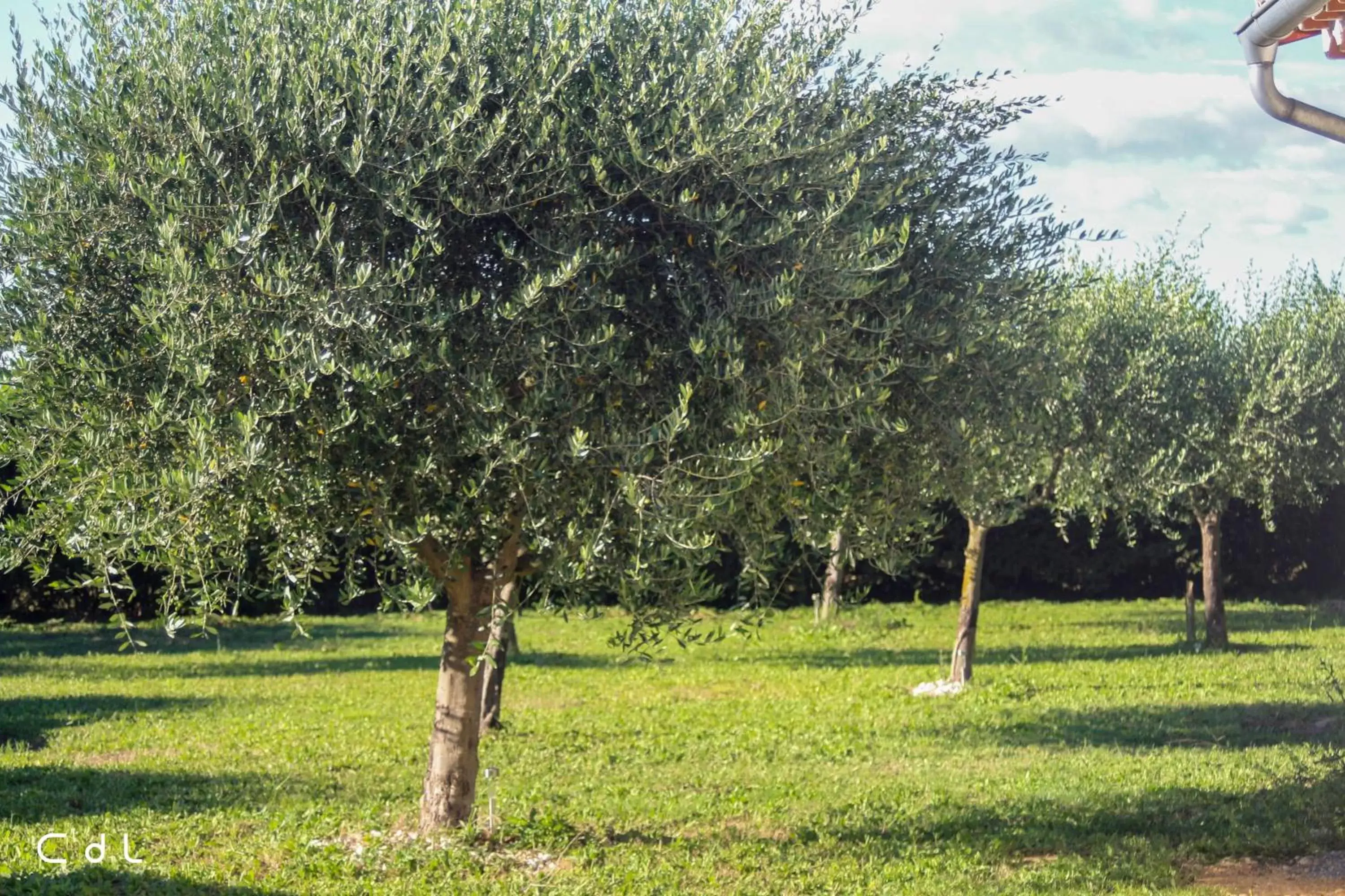 Garden in Croissant de Lune