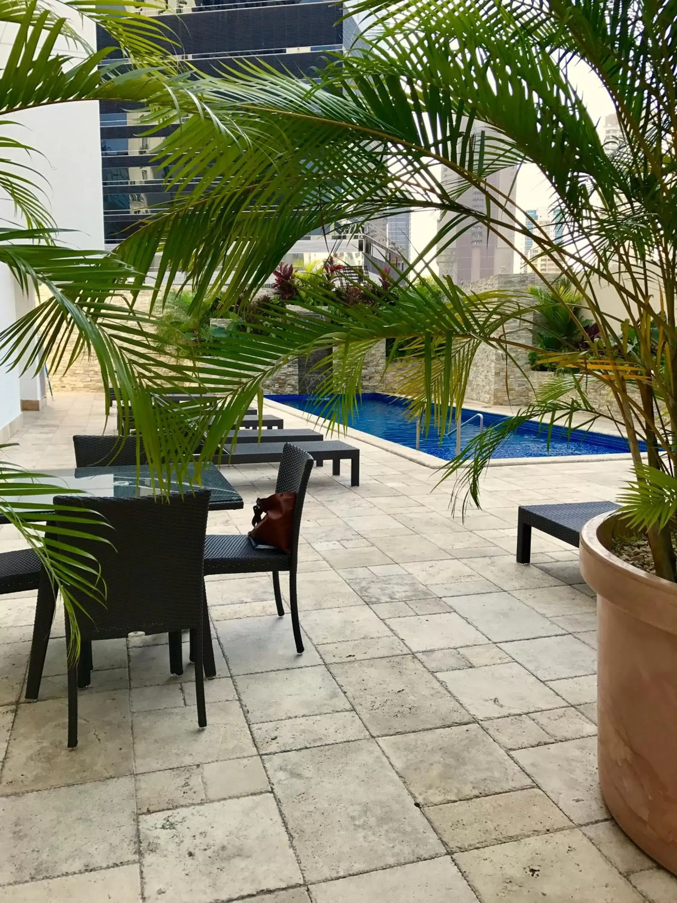 Swimming pool in The Executive Hotel Swimming pool in The Executive Hotel