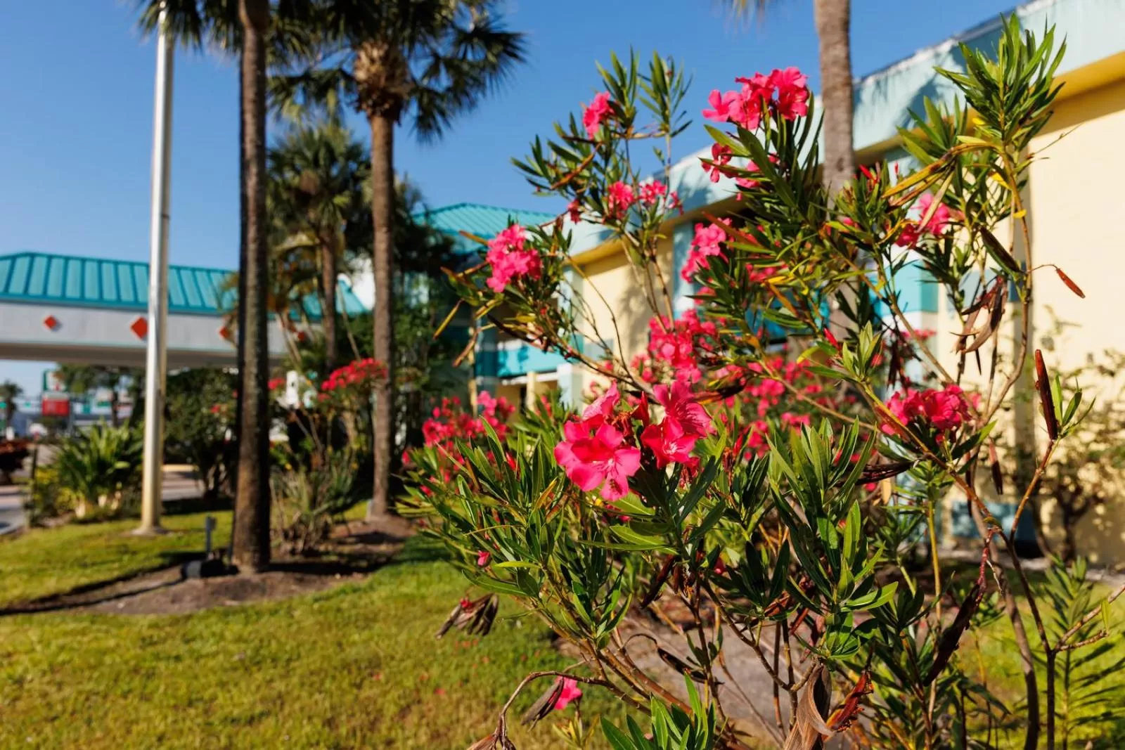 Property building in Garnet Inn & Suites, Orlando
