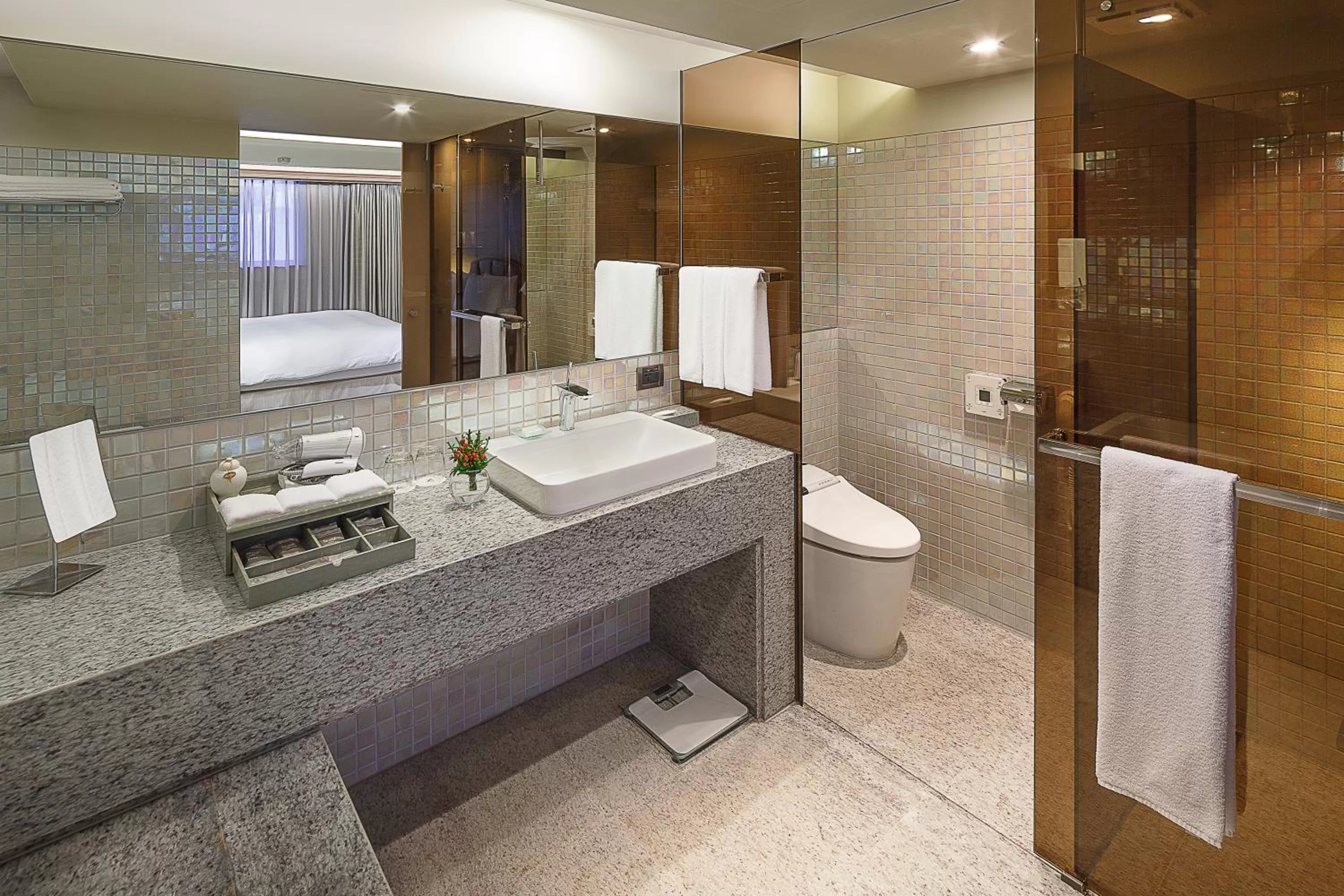 Toilet in The Landis Taipei