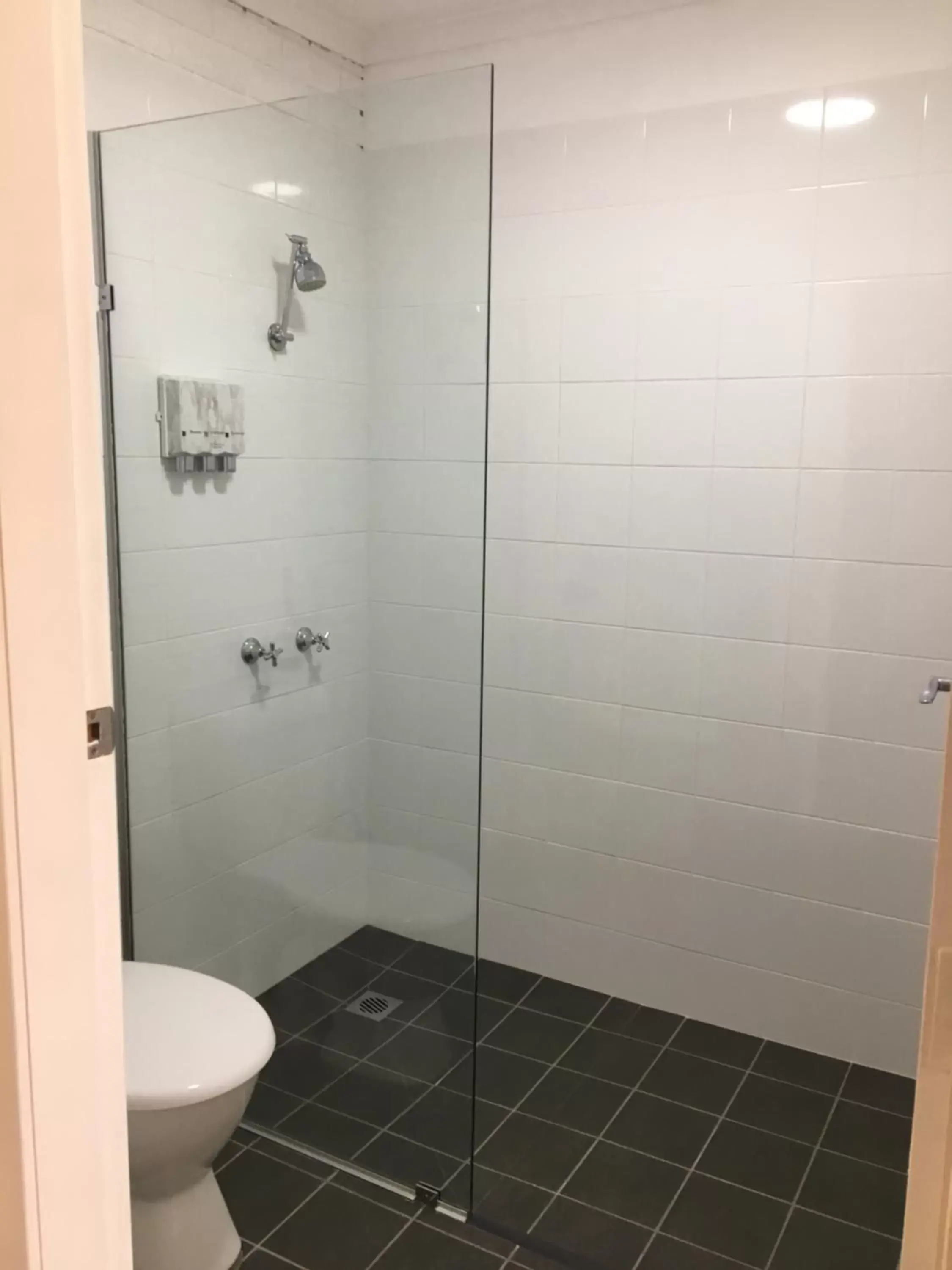 Shower, Bathroom in Camellia Motel
