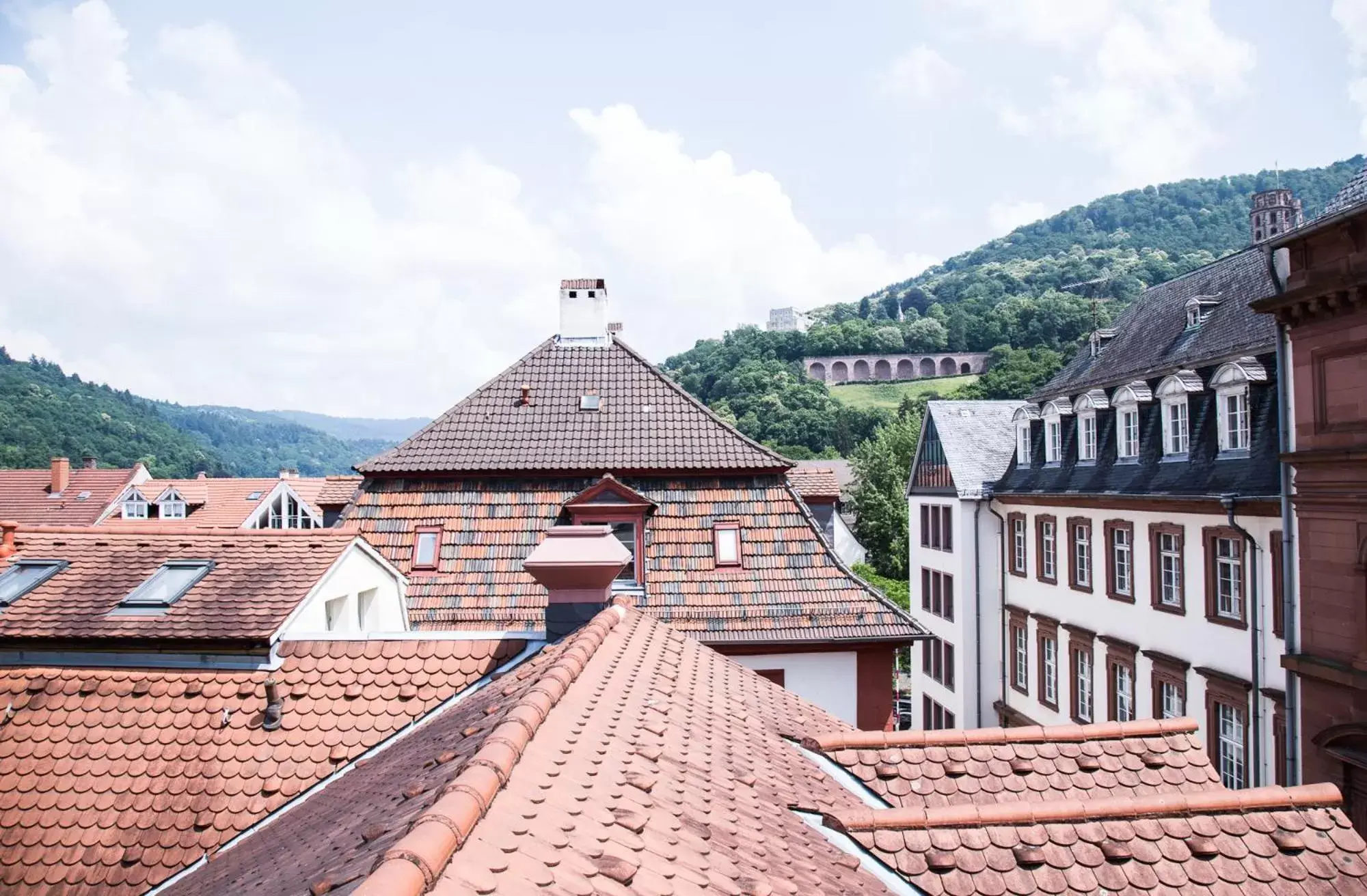 Nearby landmark in Hotel am Rathaus