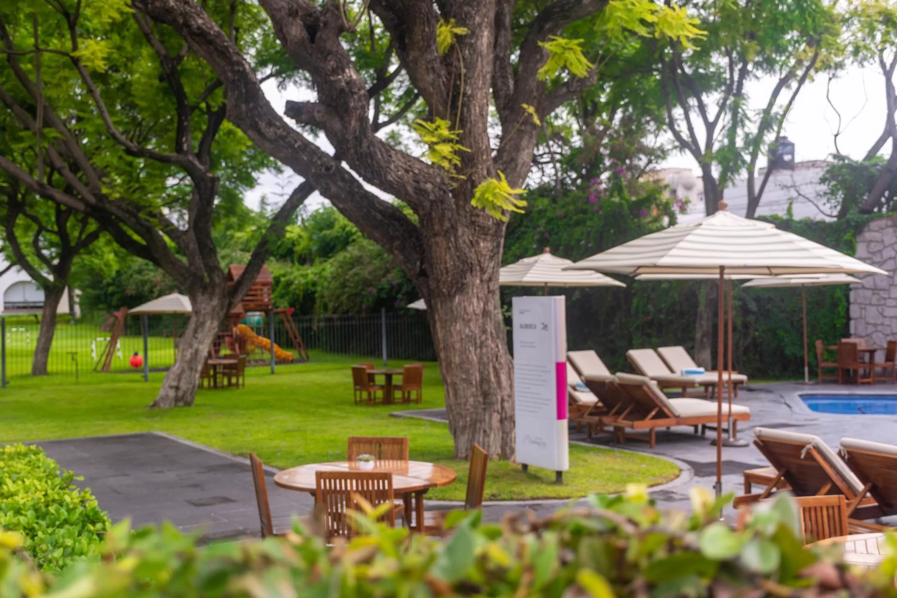 Garden in Hotel Flamingo Inn