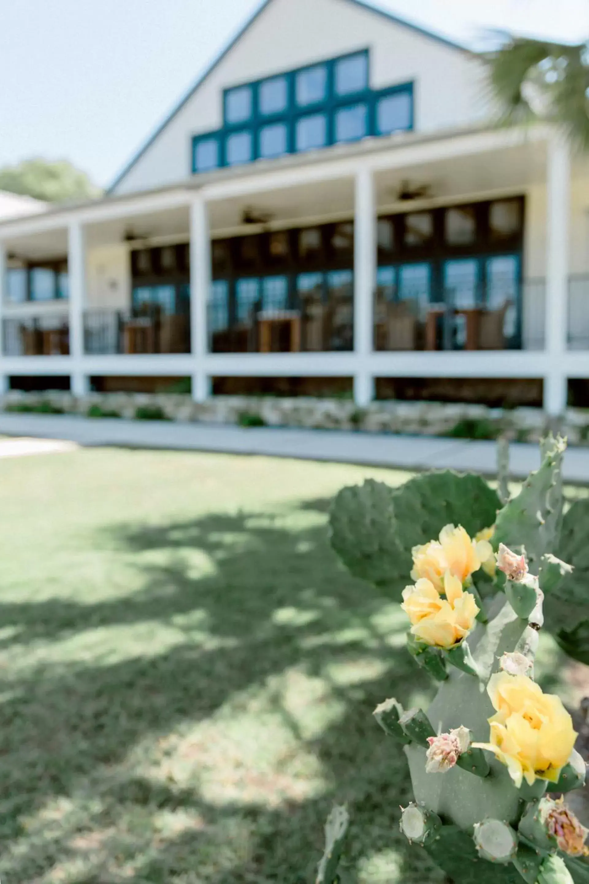 Property Building in Hillside Boutique Hotel