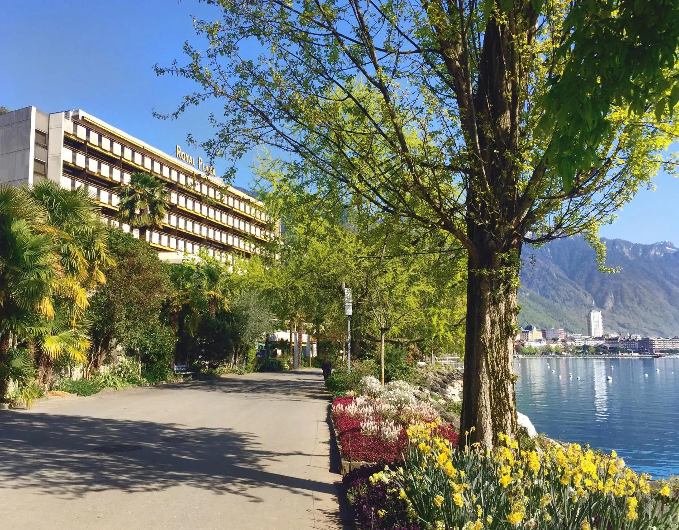Property building in Royal Plaza Montreux