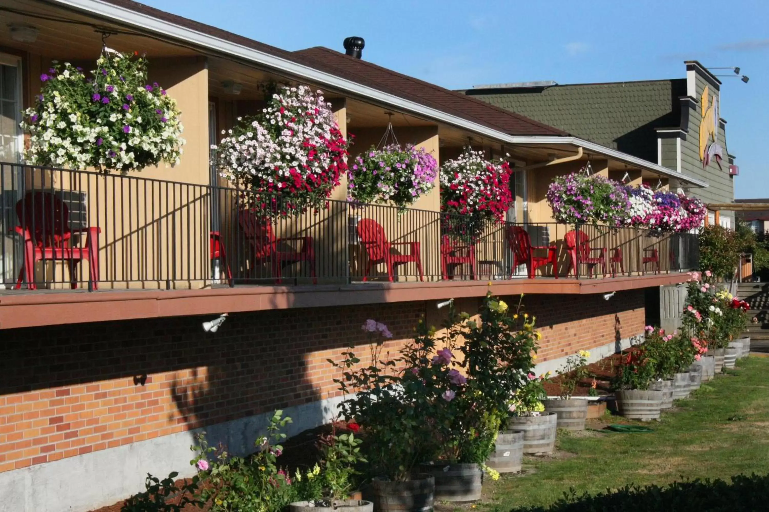 Garden, Property Building in Relax Inn Chehalis