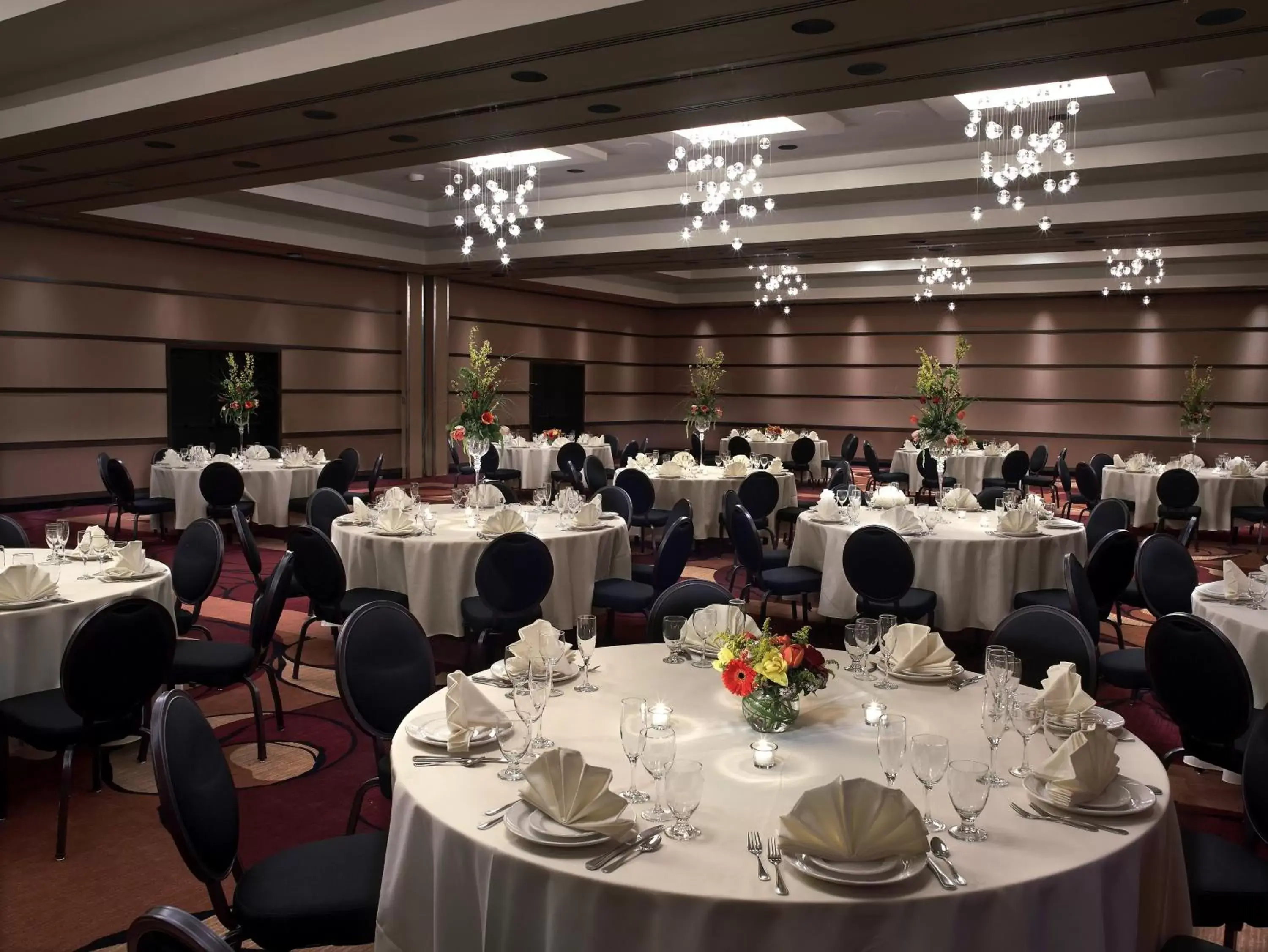 Banquet/Function facilities, Banquet Facilities in Hotel Murano