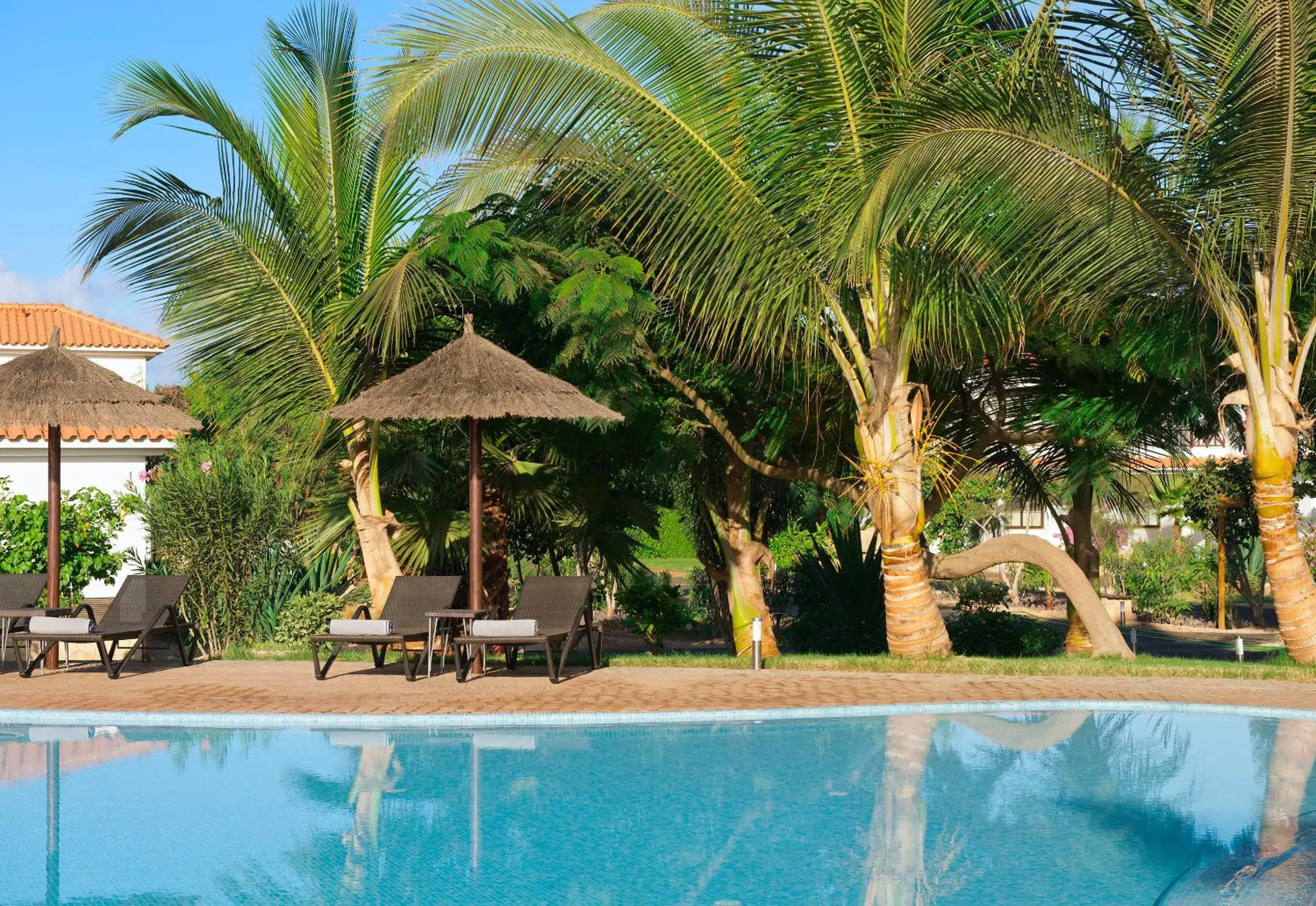 Swimming Pool in Melia Tortuga Beach