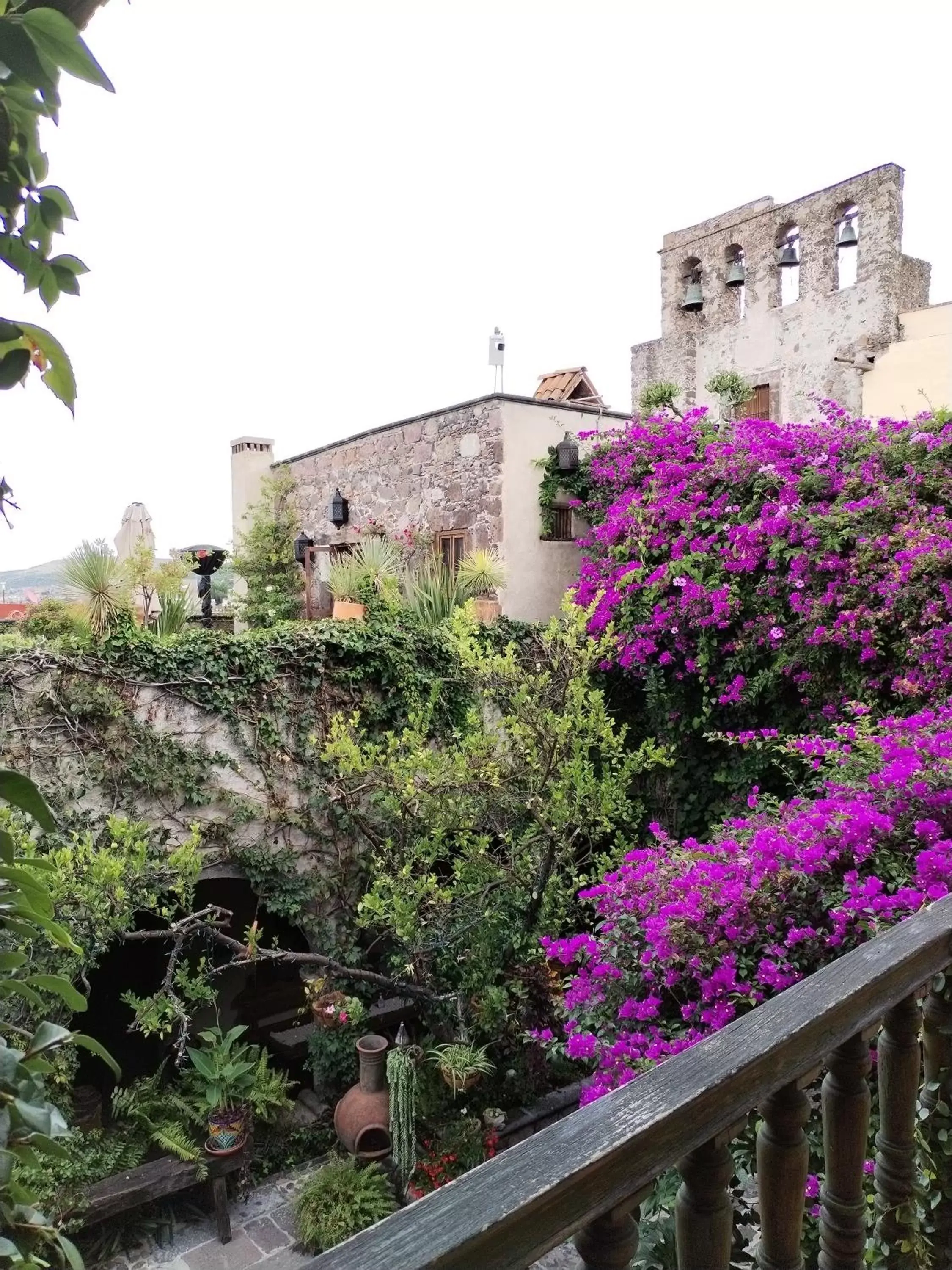 Garden view in Hacienda Las Amantes