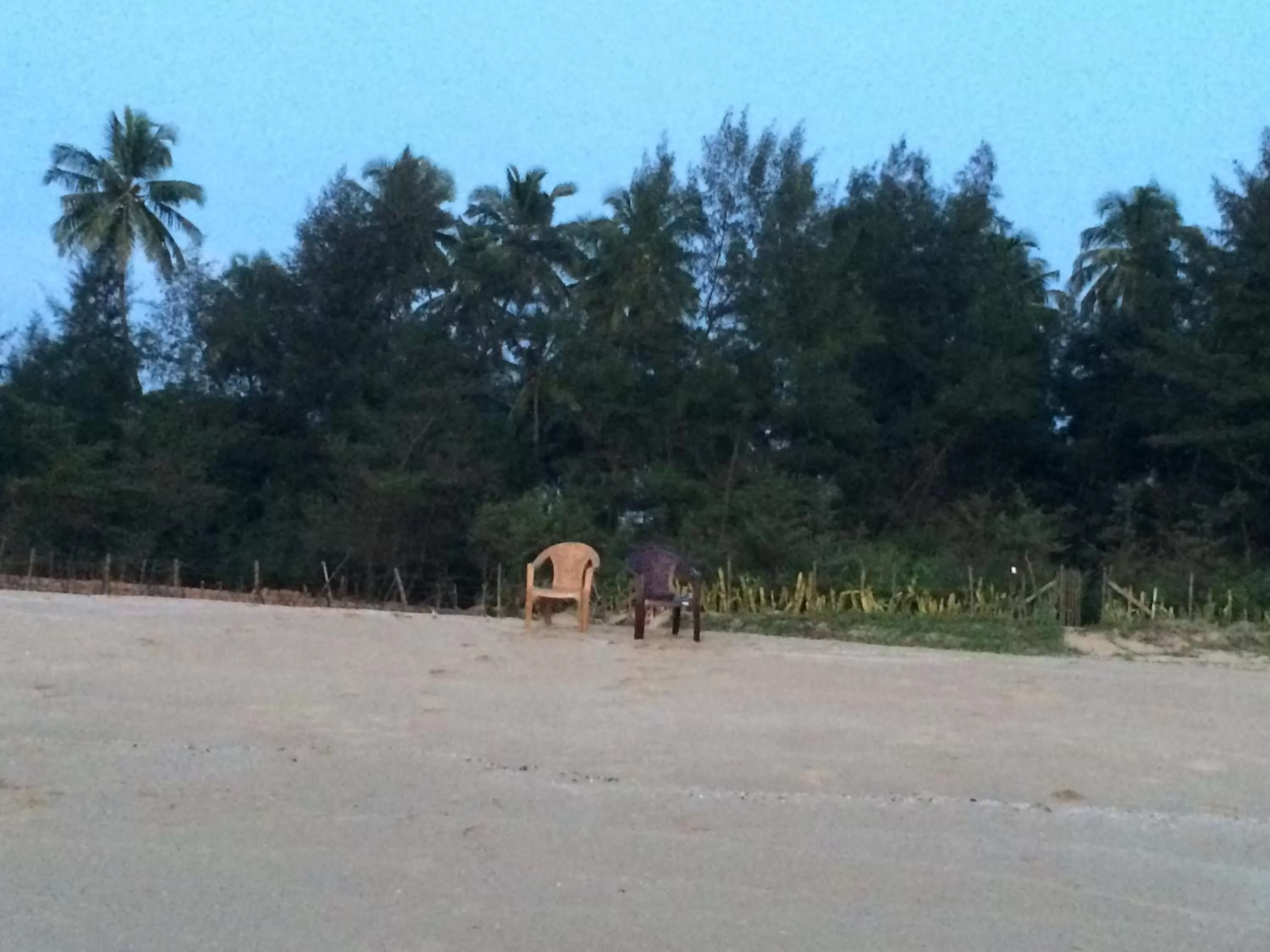 Natural landscape in OmBodhi Retreat