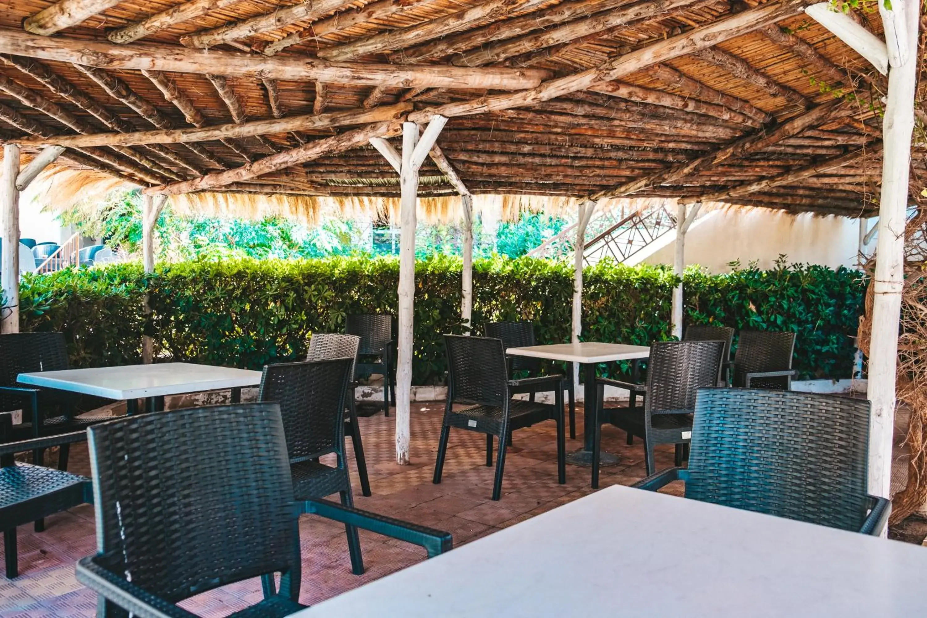 Restaurant/places to eat in Marina Palace Restaurant/places to eat in Marina Palace