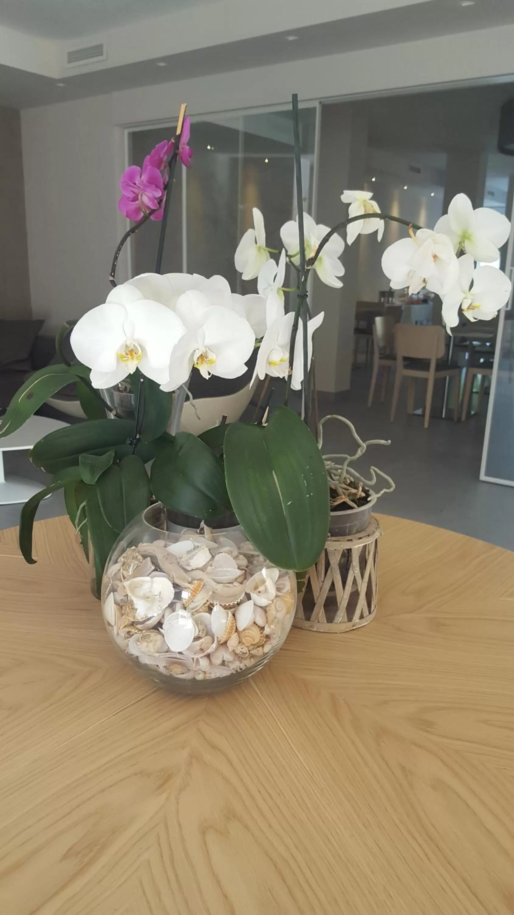 Decorative detail in Hotel Villa Barsanti