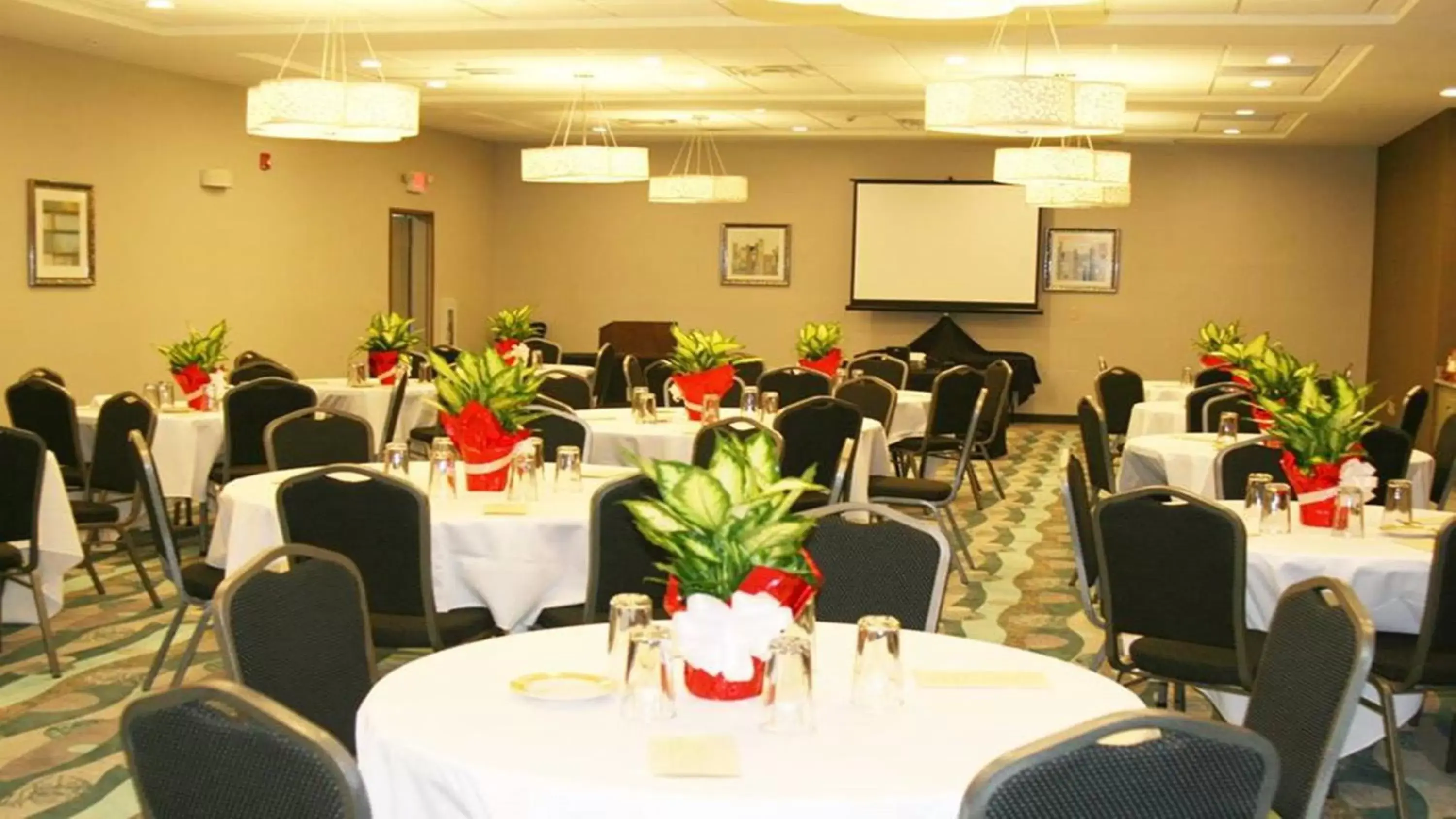 Meeting/conference room, Banquet Facilities in Holiday Inn Guin, an IHG Hotel