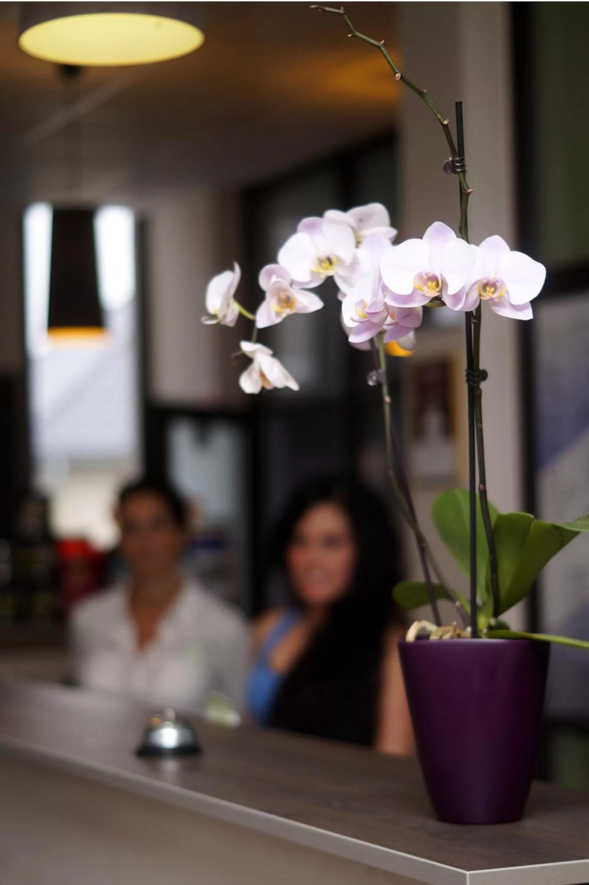 Staff in Fitromax Sportpanzió Ajka